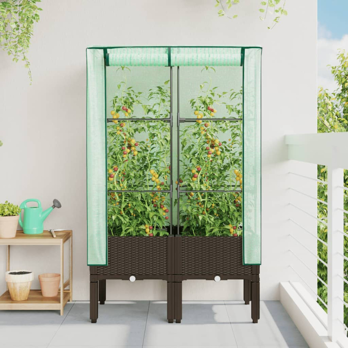 Una serra di pomodori su un balcone con piante e pomodori.