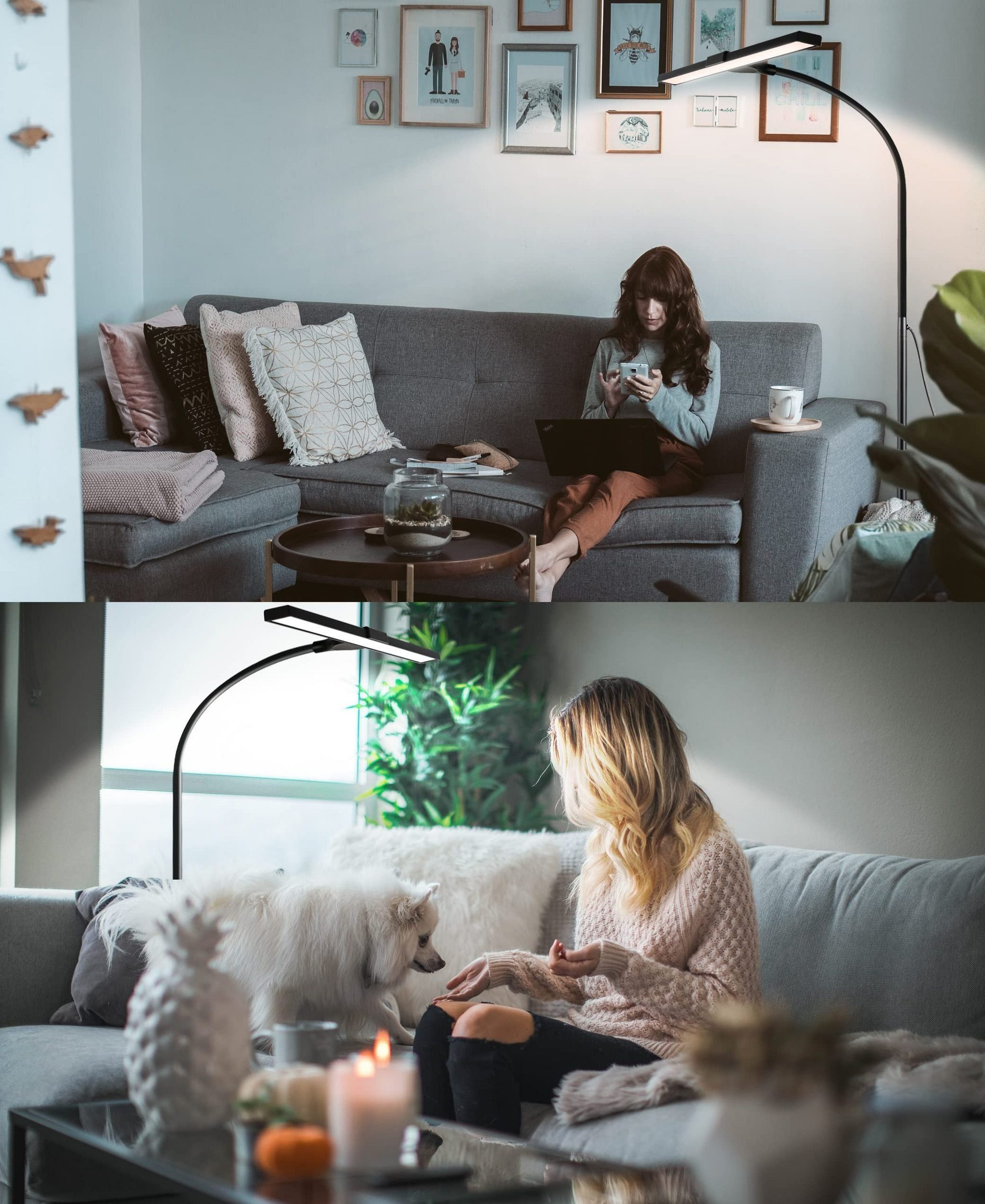 Dwa zdjęcia salonu: kobieta z laptopem i kobieta z psem.