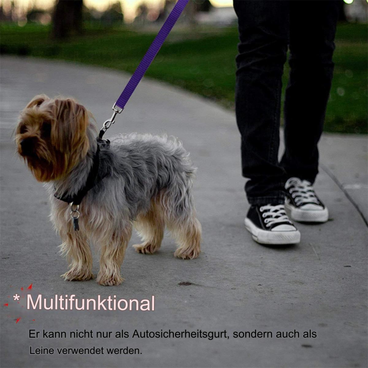 Kleiner Hund an der Leine mit einer Person. Hund mit Halsband. Text: Multifunktional, kann als Sicherheitsgurt verwendet werden.
