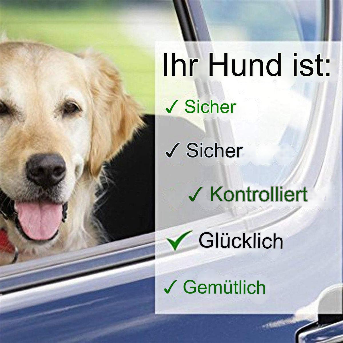 Ein Hund schaut aus dem Autofenster. Text: Sicher, Kontrolliert, Glücklich, Bequem.