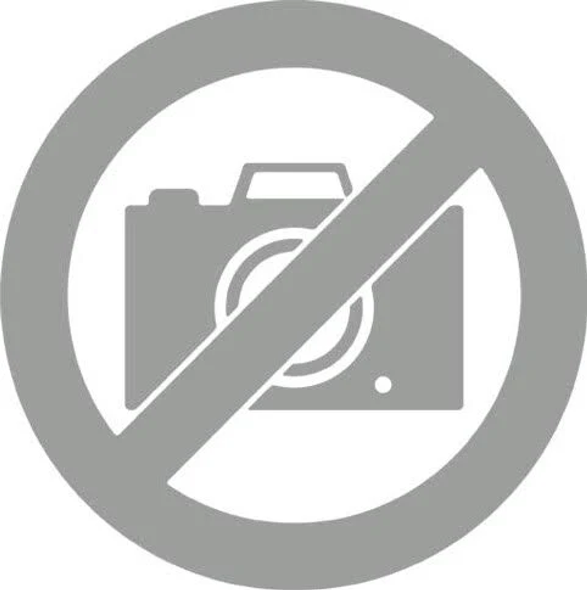 Znak zakazu fotografowania w szarym okręgu. Znak to szary aparat fotograficzny z linią przez niego.