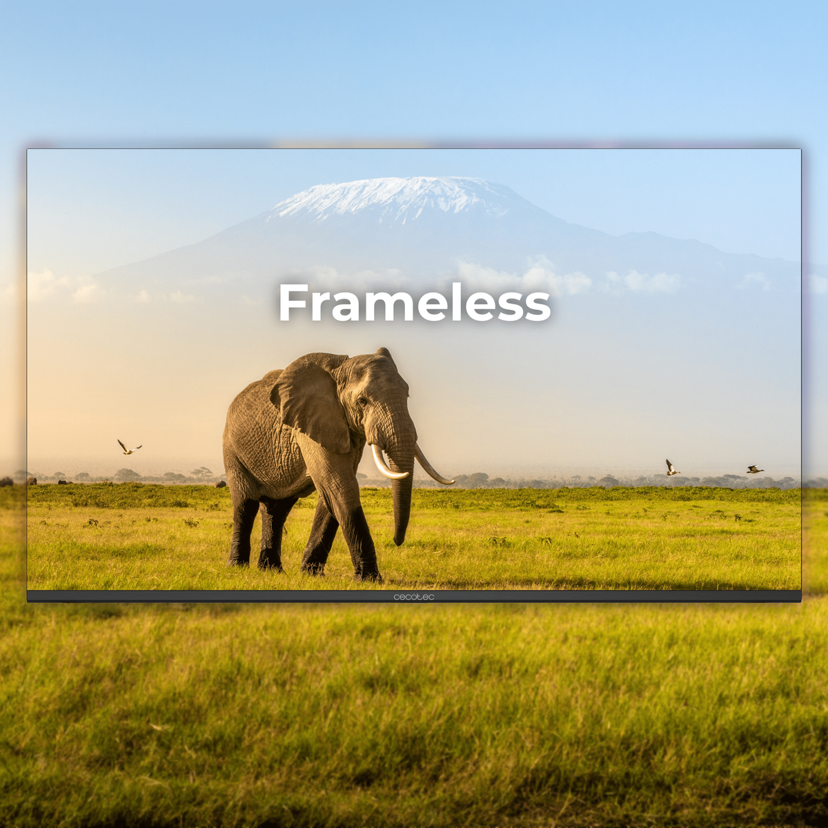 Słoń idzie po trawie przed ekranem telewizora. Telewizor wyświetla górę.