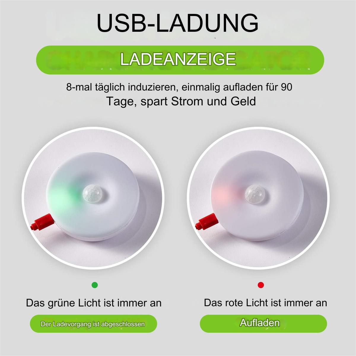 Ladeanzeige mit zwei Kreisen. Grünes Licht für geladen, rot für Laden. Textbeschriftungen.