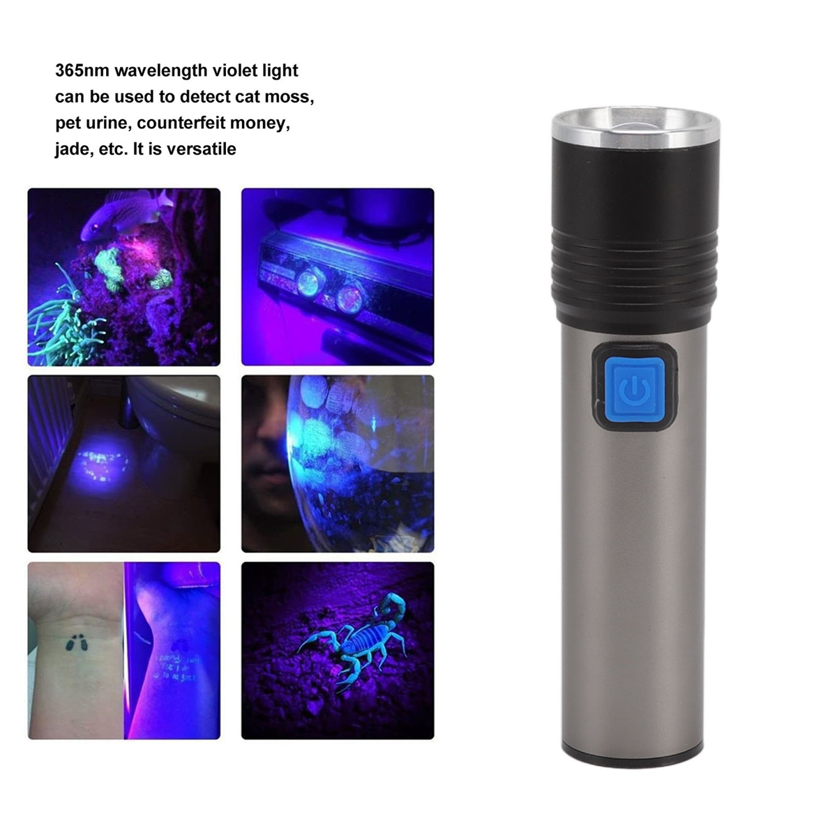 Eine Taschenlampe mit blauem Knopf und mehrere Bilder, die verschiedene Verwendungen von UV-Licht zeigen.
