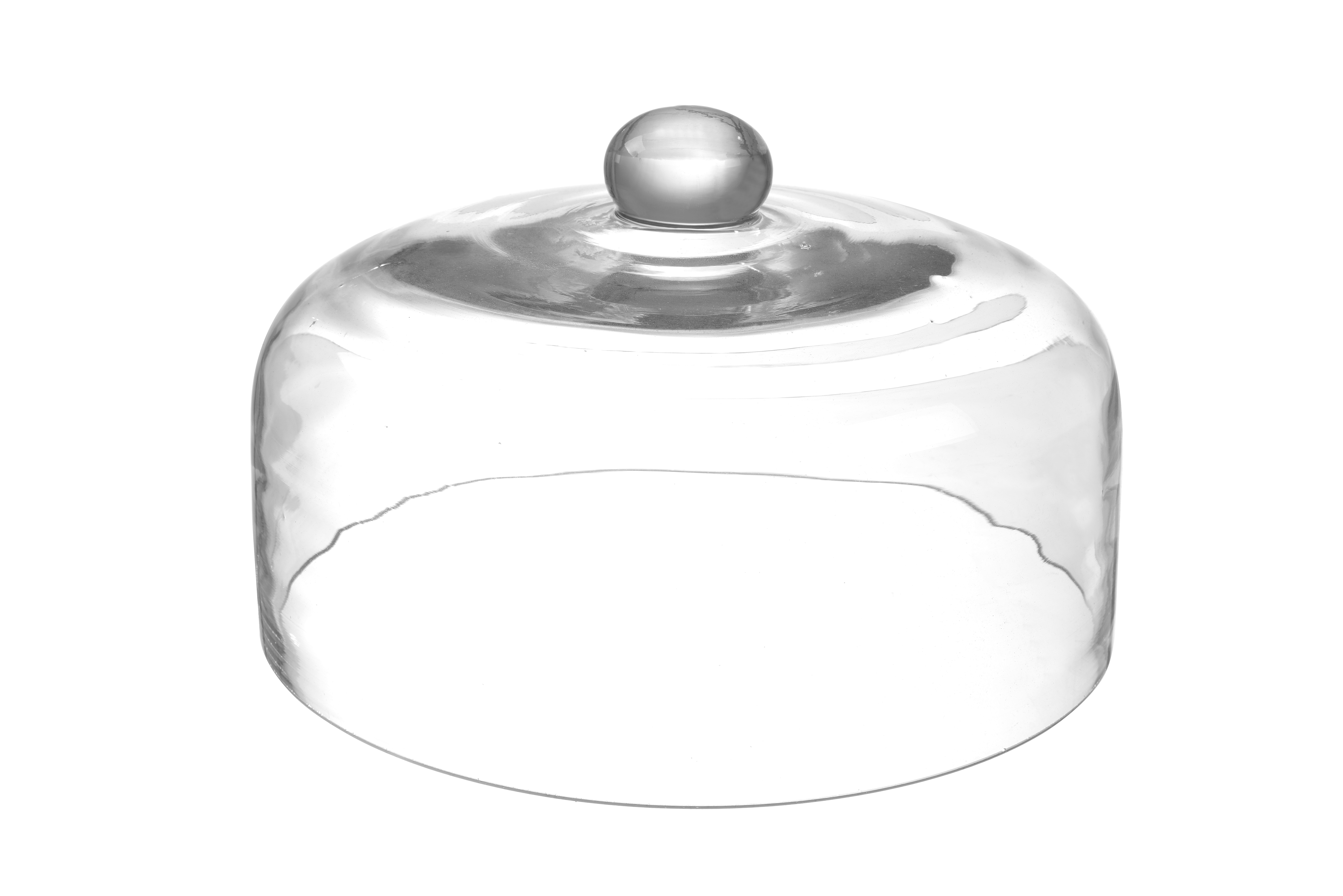 Campana di vetro con pomello rotondo sopra, su sfondo bianco.