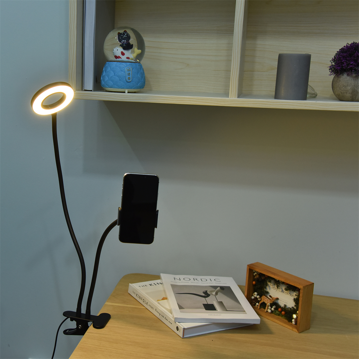 Ein Ringlicht mit einem Telefonhalter auf einem Tisch. Bücher und eine Schneekugel sind ebenfalls sichtbar.