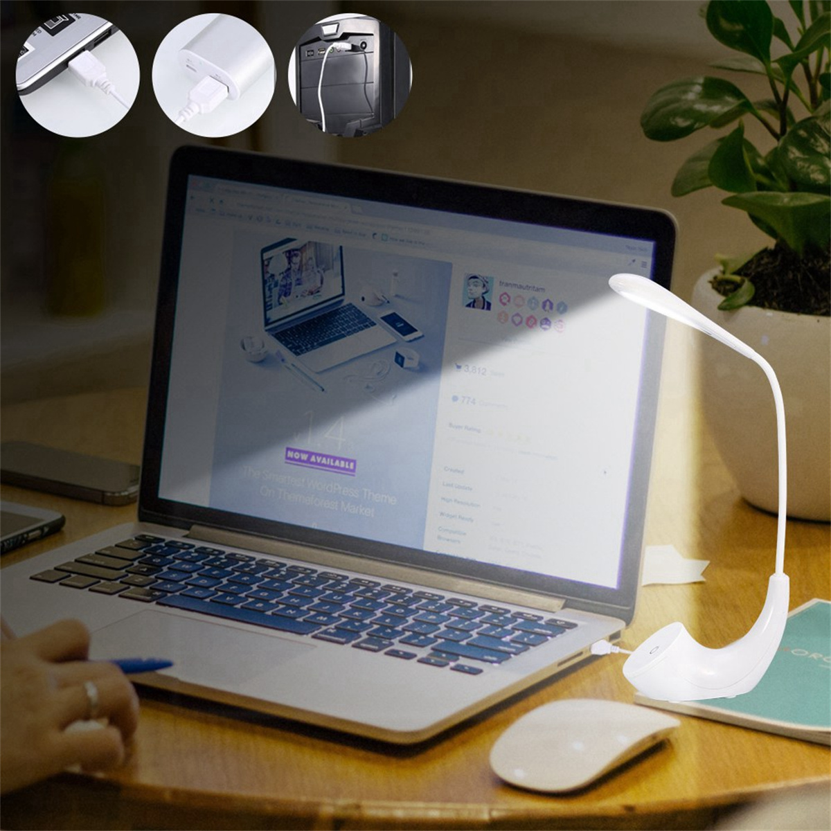 Ein Laptop zeigt eine Website, eine Schreibtischlampe und eine Maus. Die Szene befindet sich auf einem Holzschreibtisch.