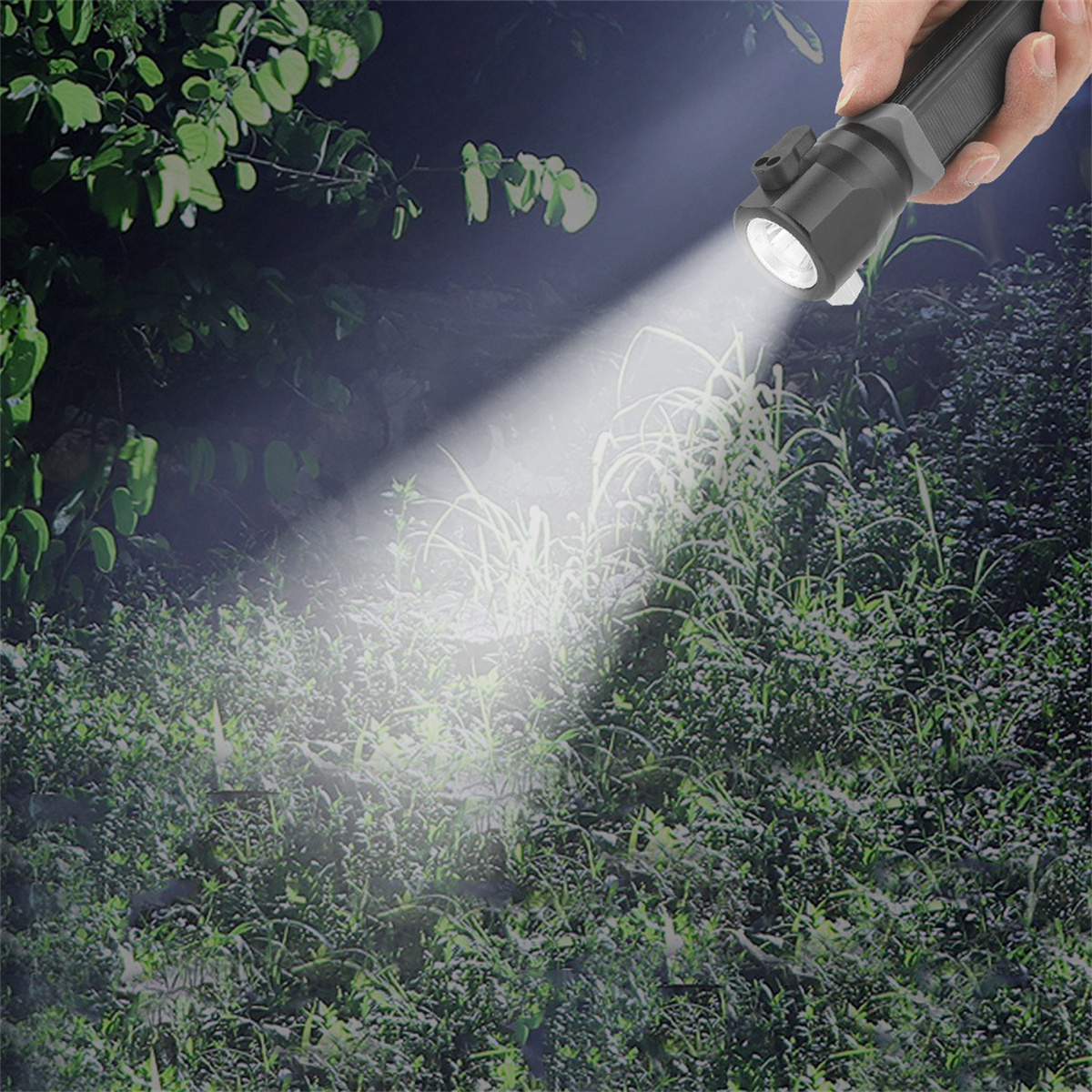 Eine Hand, die eine schwarze Taschenlampe hält und Licht auf grünes Laub in dunkler Umgebung scheint.