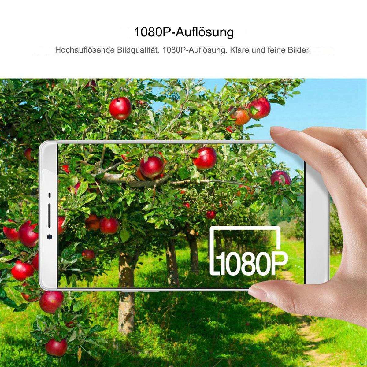 Eine Hand, die ein Telefon hält, zeigt einen Bildschirm mit roten Äpfeln an einem Baum mit 1080P-Text.