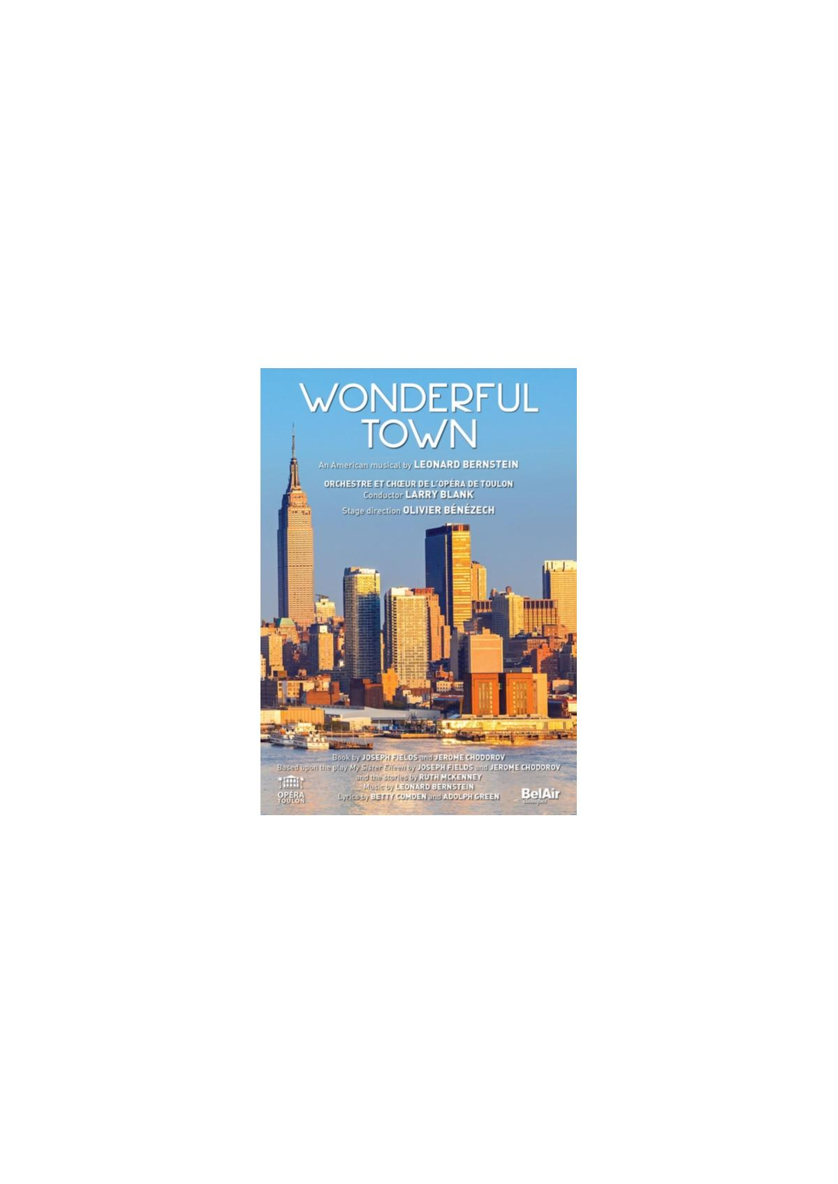 DVD-hoes: Skyline van New York, titel 'Wonderful Town'. Blauwe lucht. Witte tekst.