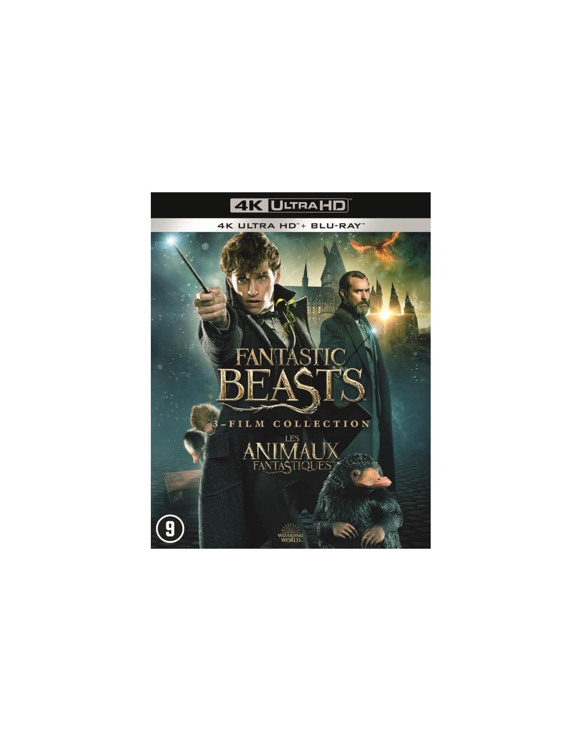 Fantastic Beasts filmcover. Newt Scamander met toverstaf en anderen op de achtergrond.