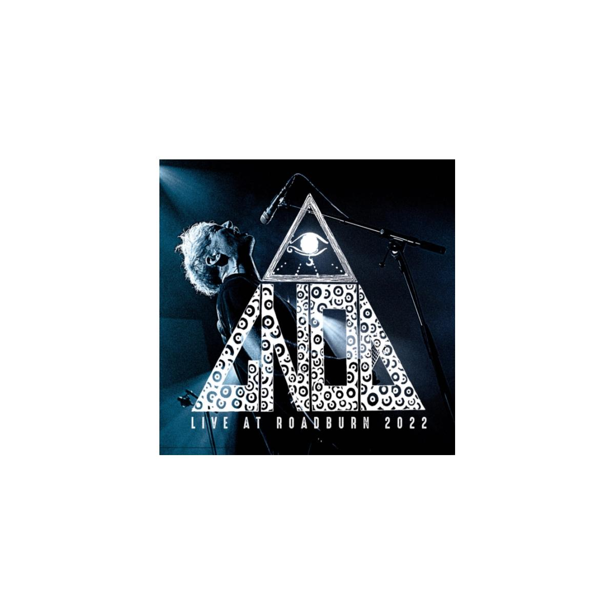 La copertina dell'album mostra un uomo che canta con un microfono e la parola AILD in un triangolo.