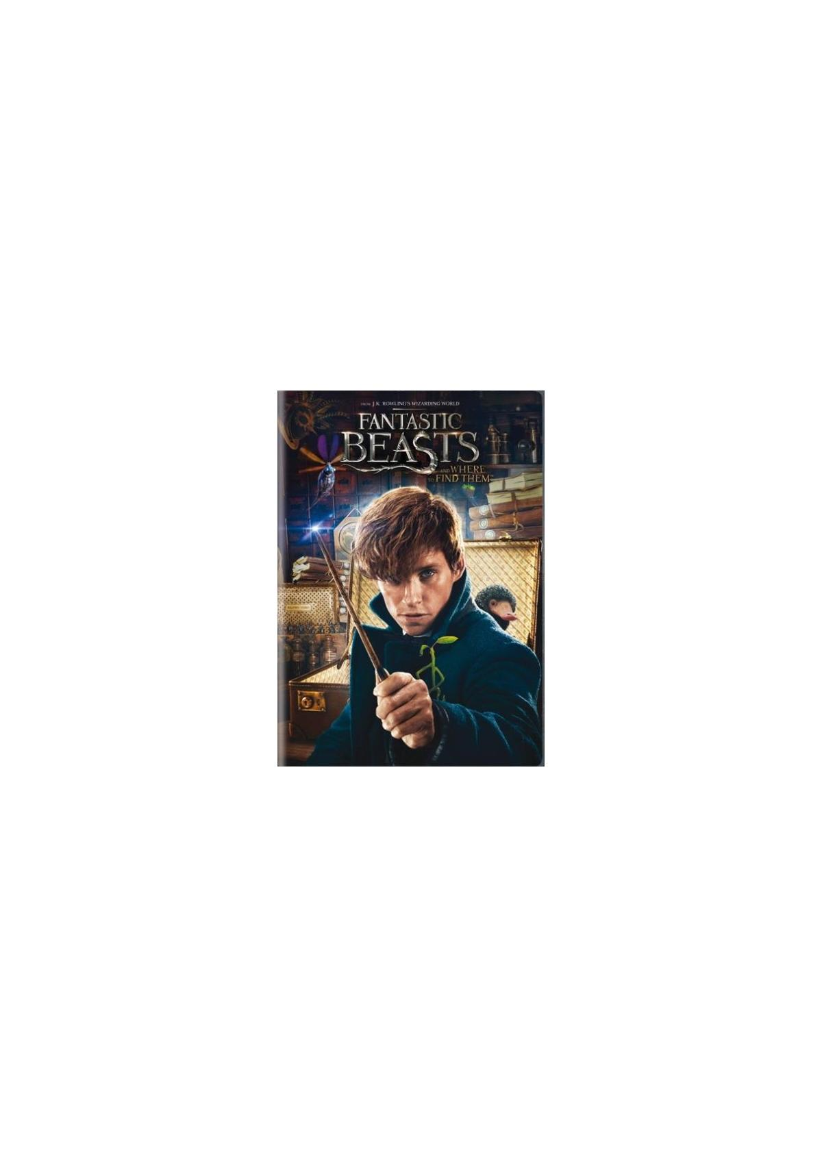 Pochette DVD des Animaux Fantastiques. Homme en manteau tient une baguette. Titre : Animaux Fantastiques.