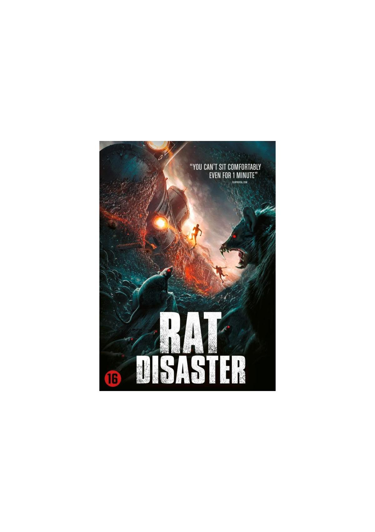 Couverture DVD Rat Disaster. Deux personnes fuyant d'énormes créatures ressemblant à des rats. Feu rouge en arrière-plan.