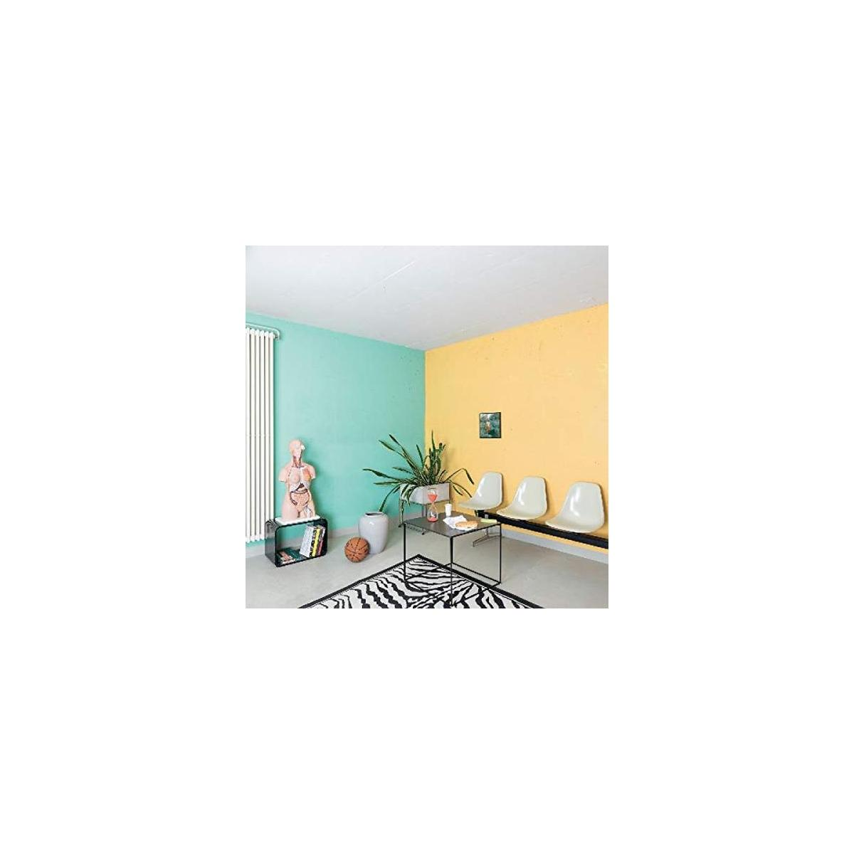 Intérieur avec murs colorés, tapis zébré et petite table. Sculpture et chaises présentes.