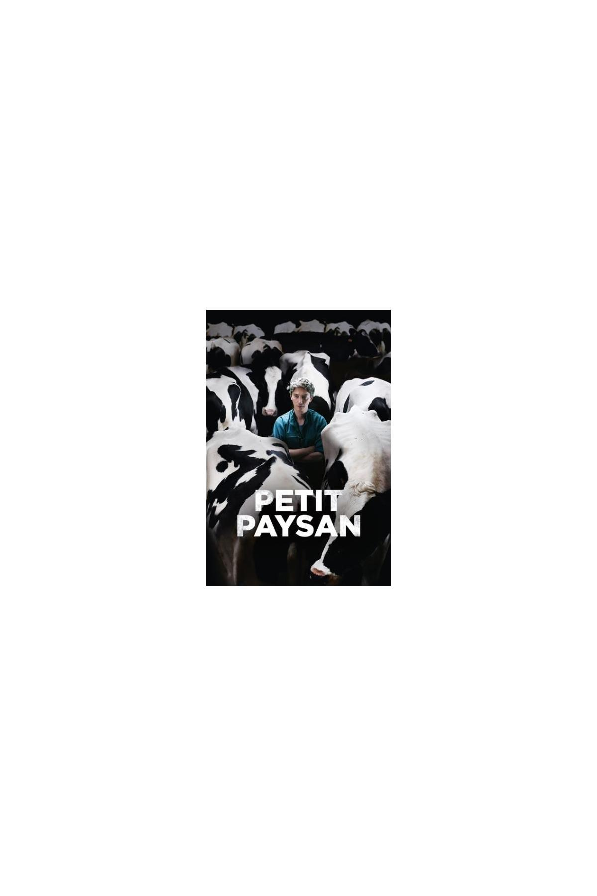 Affiche de film : Un garçon devant des vaches. Titre : Petit Paysan.