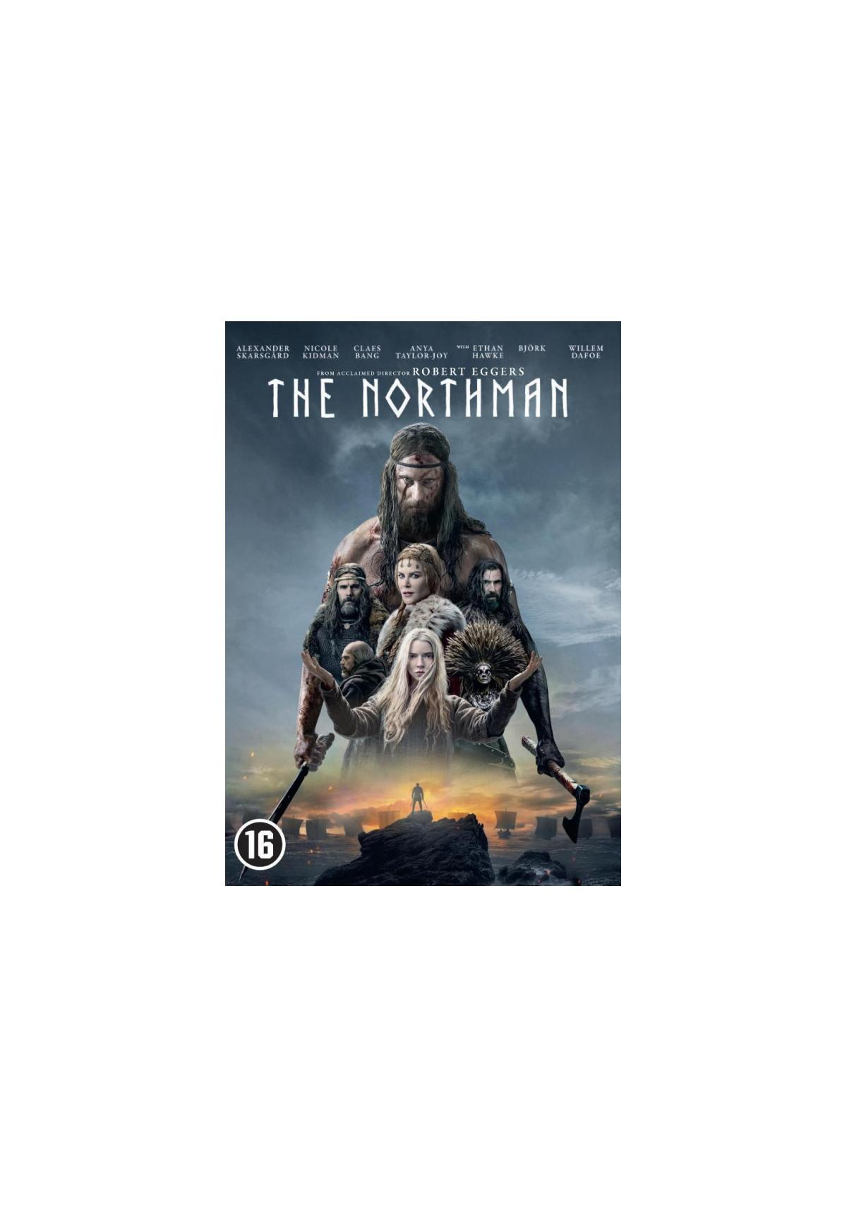 Poster: Mannen met wapens, titel The Northman.