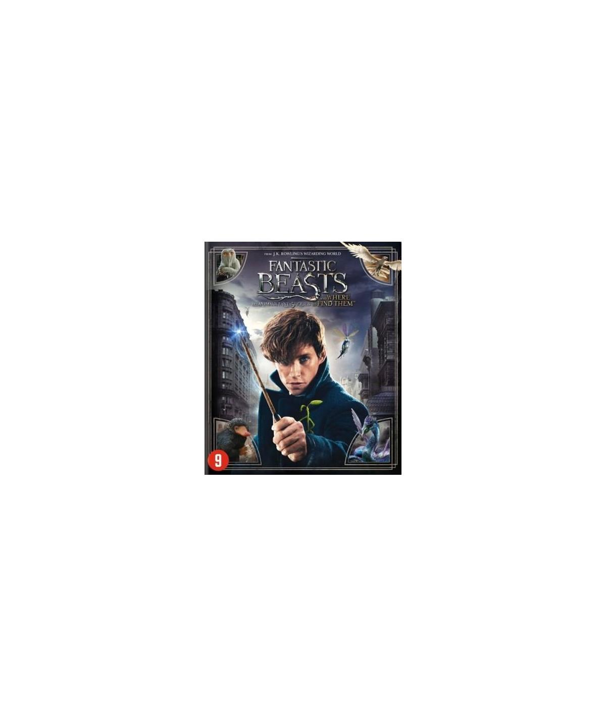 DVD-hoes van 'Fantastic Beasts', een jonge man houdt een toverstaf vast.