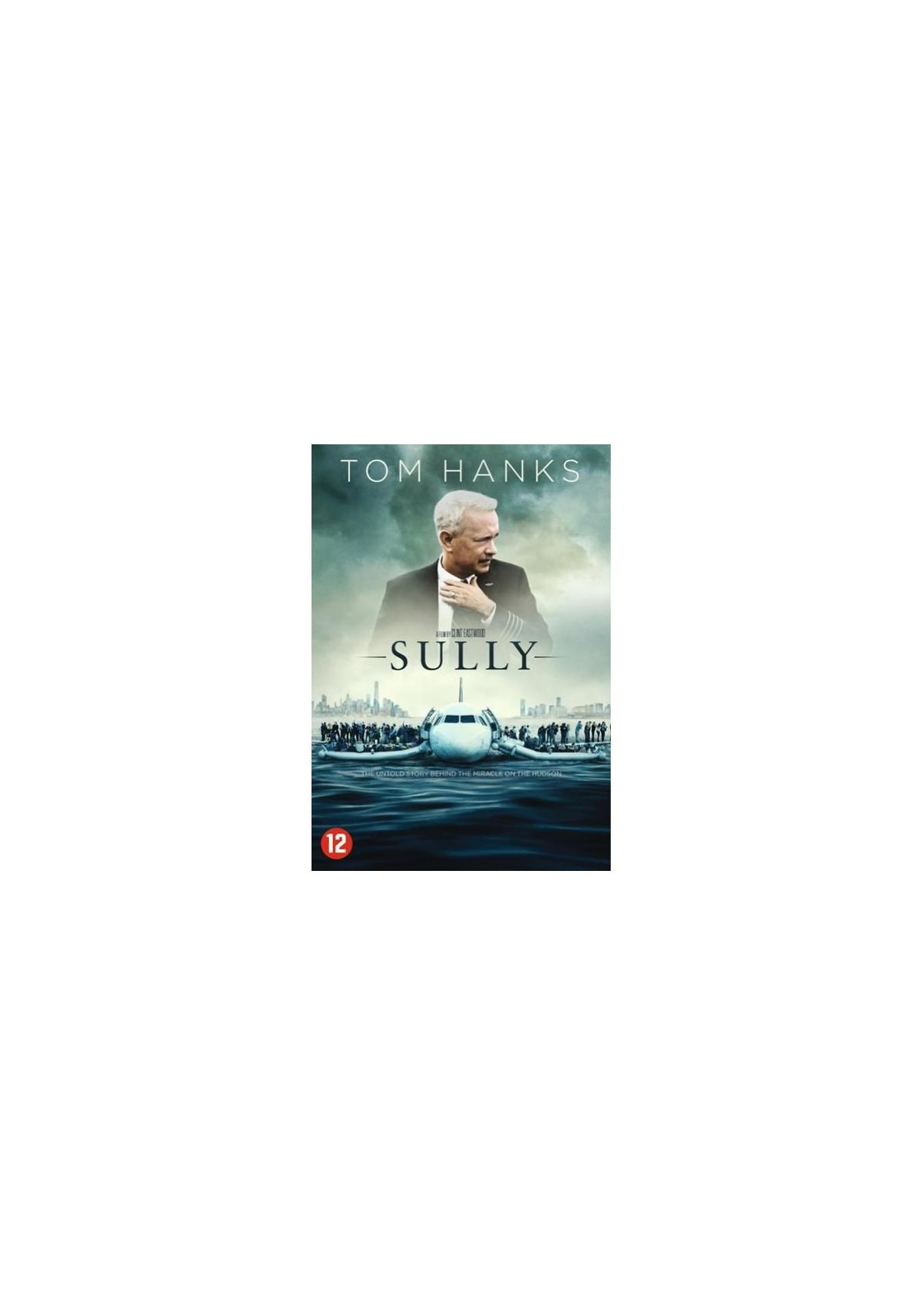 Couverture DVD Sully : Tom Hanks au milieu, un avion sur l'eau et une ville en arrière-plan.