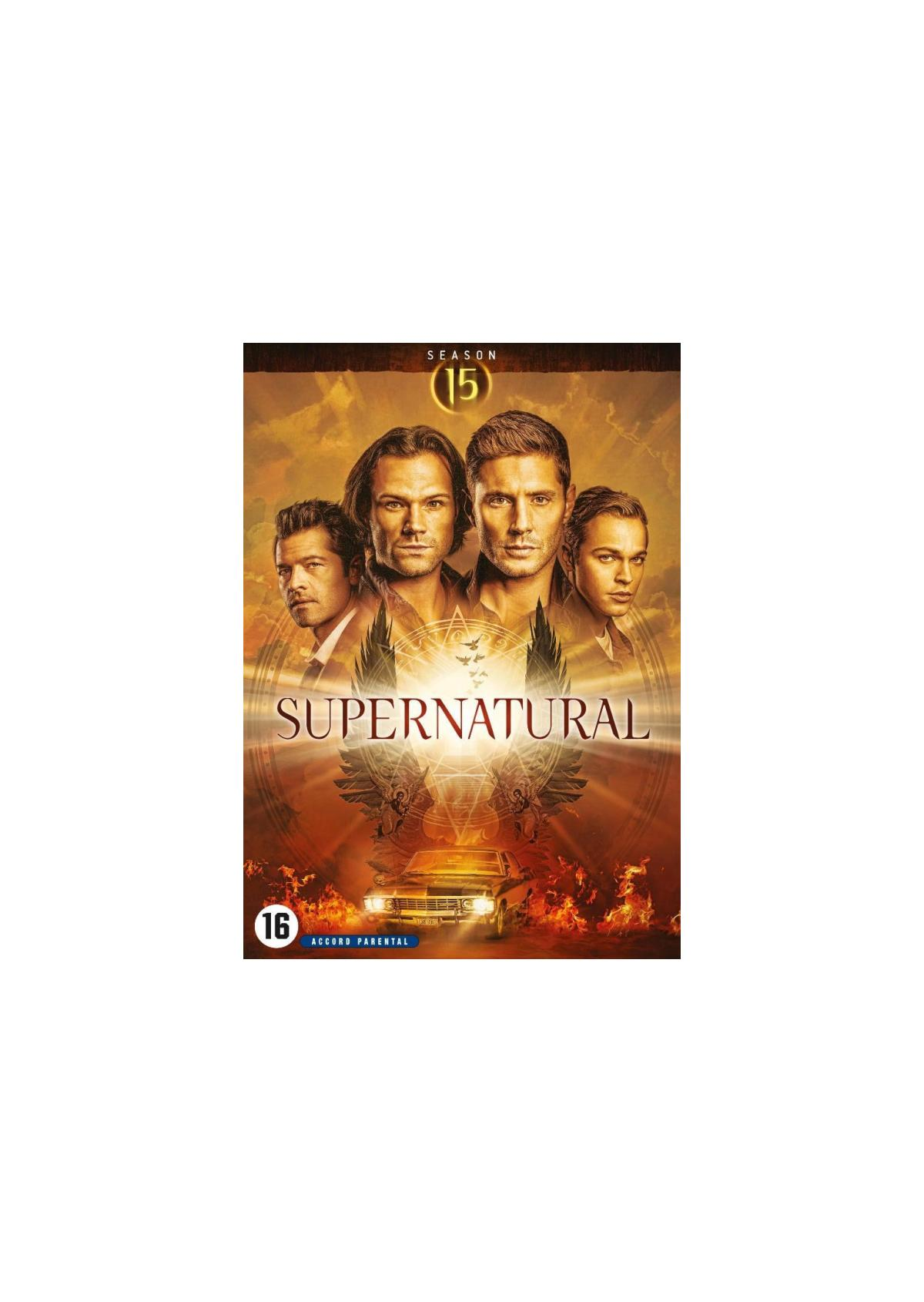 Supernatural Seizoen 15 DVD cover. Met vier acteurs en een brandende auto beneden.