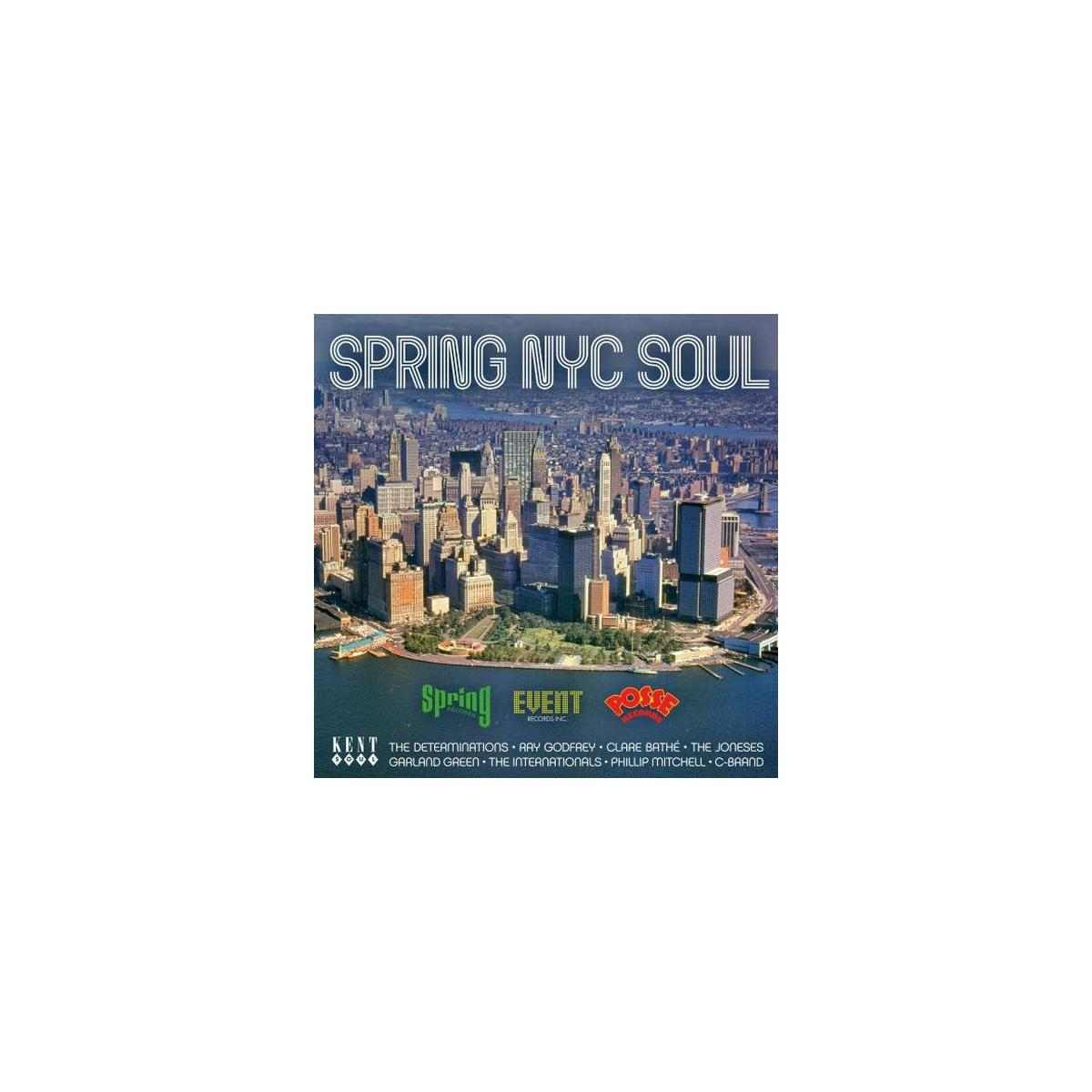 Albumhoes met skyline boven water. Tekst: 'SPRING NYC SOUL' en artiestennamen onderaan.