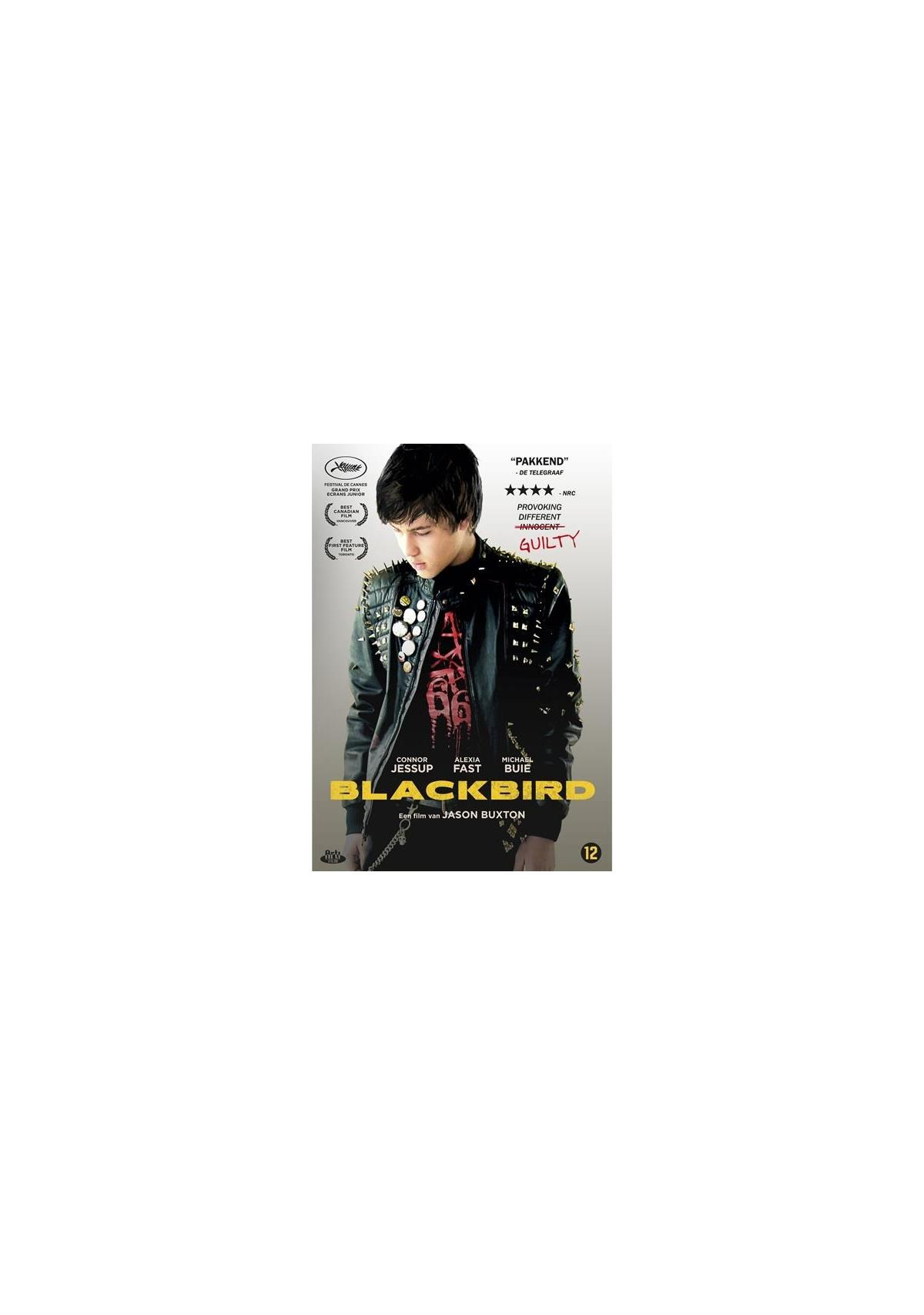 Couverture du DVD Blackbird. Un jeune homme en blouson de cuir est au centre. Titre et classification visibles.