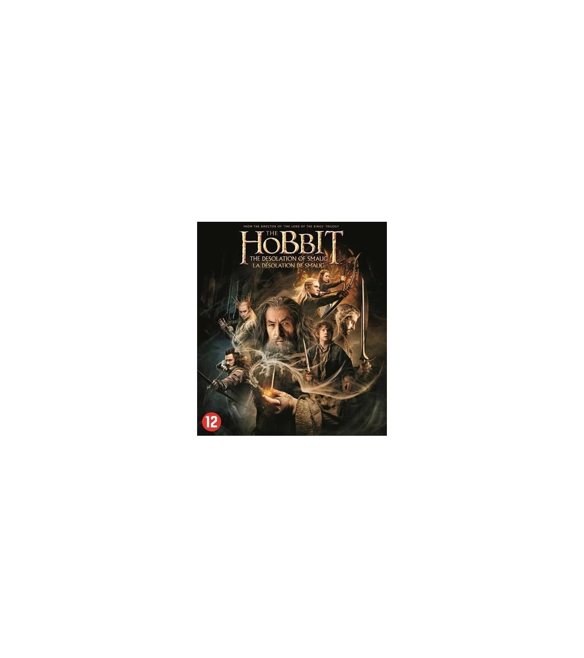 Couverture DVD : Groupe de personnes. Titre : Le Hobbit : La Désolation de Smaug. Épées et feu.