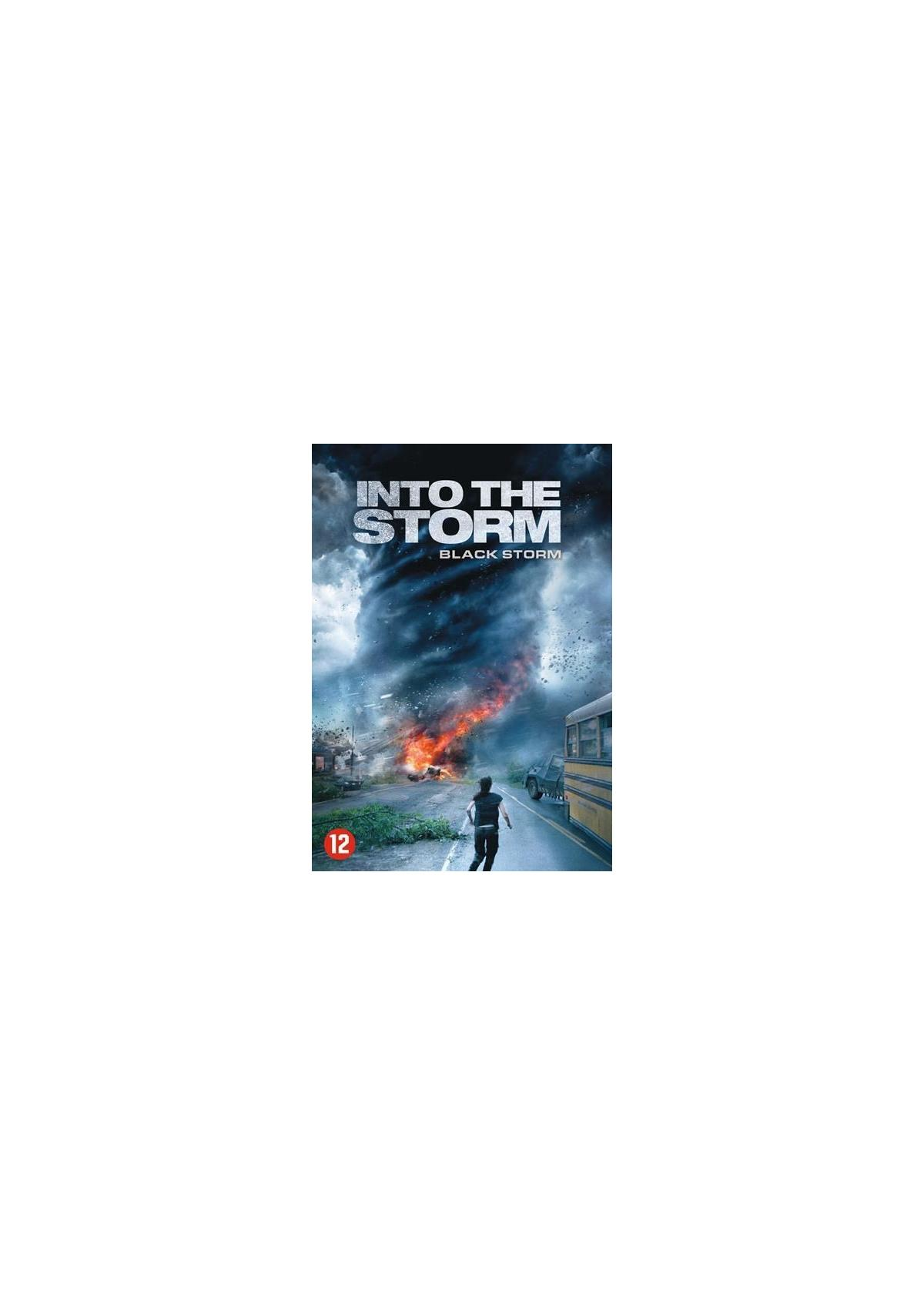 Een man die wegrent van een tornado. De cover luidt 'Into the Storm'.