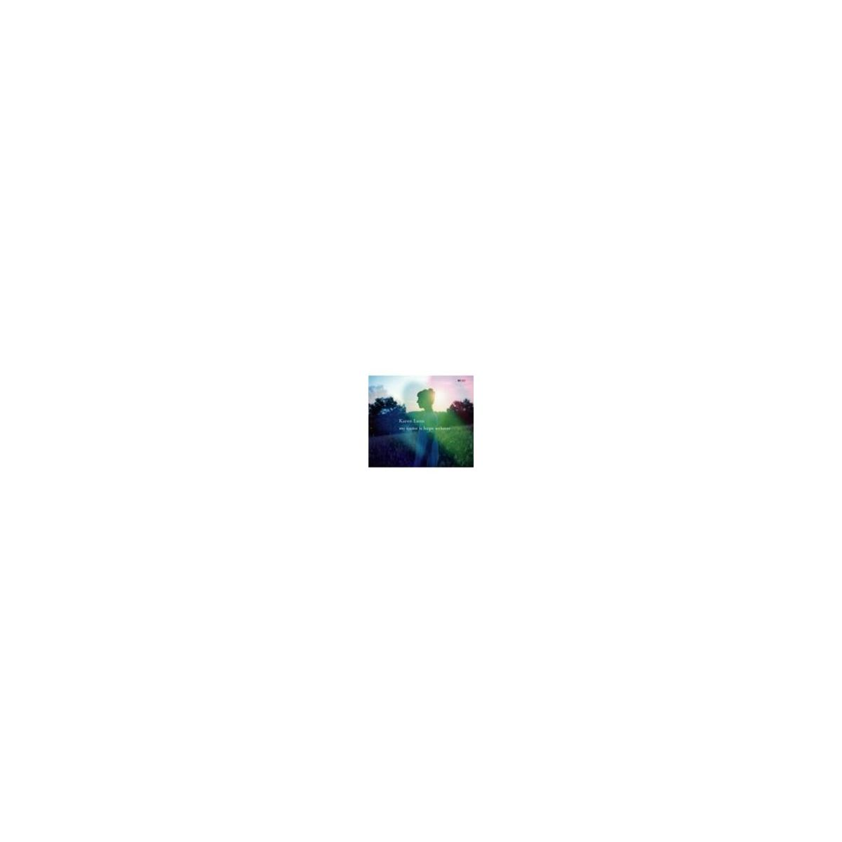 Couverture d'album. Silhouette de personnes sur un fond vert et bleu.