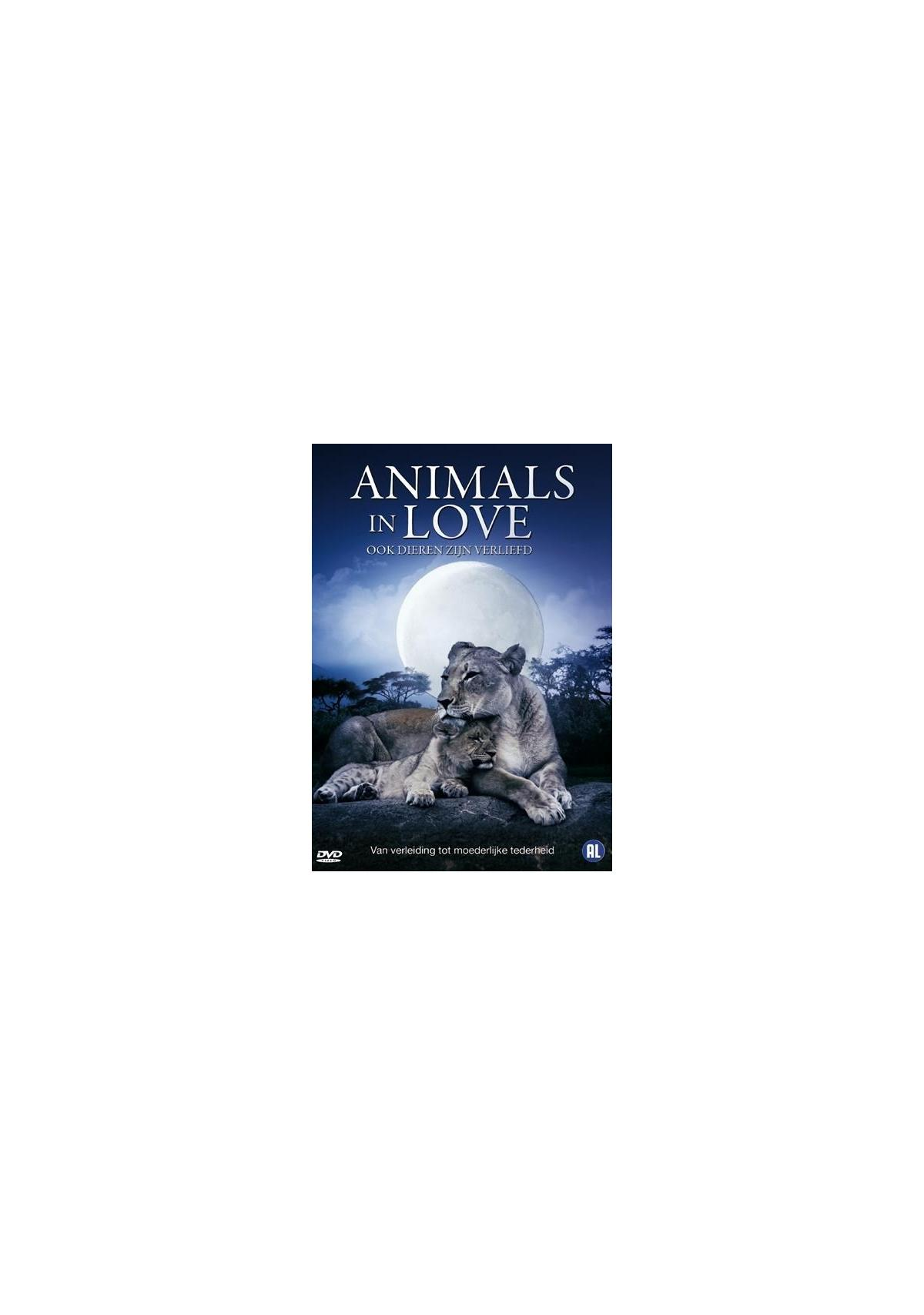 DVD-hoes: Animals in Love, met een leeuwin met welp onder een nachthemel met volle maan.