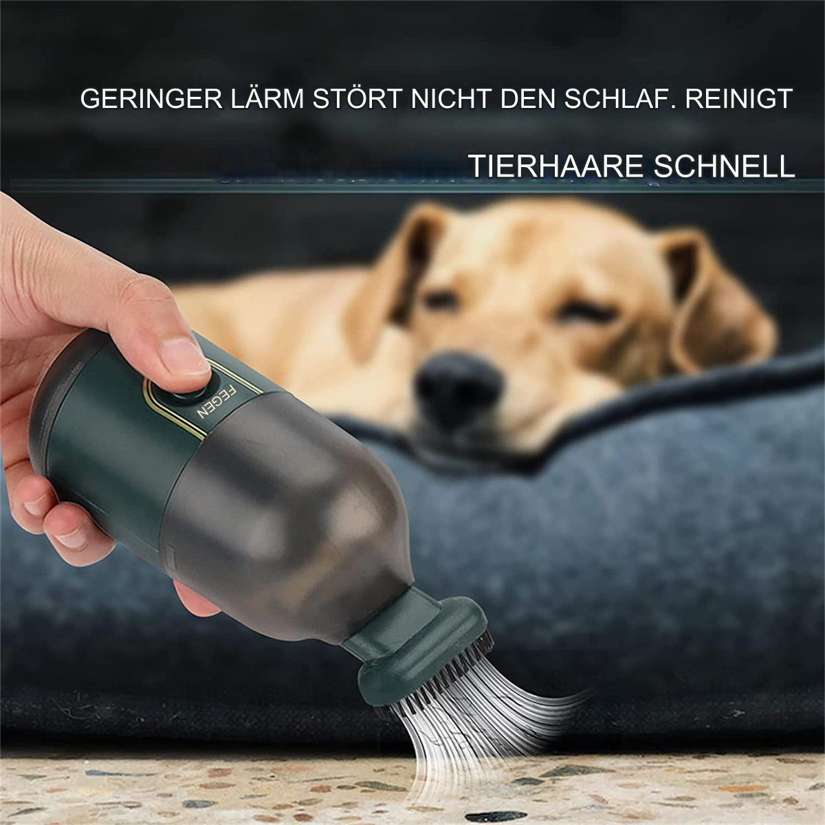 Ein Handstaubsauger in Gebrauch, der Hund ist im Hintergrund. Text sagt 'Reinigt Tierhaare schnell'.
