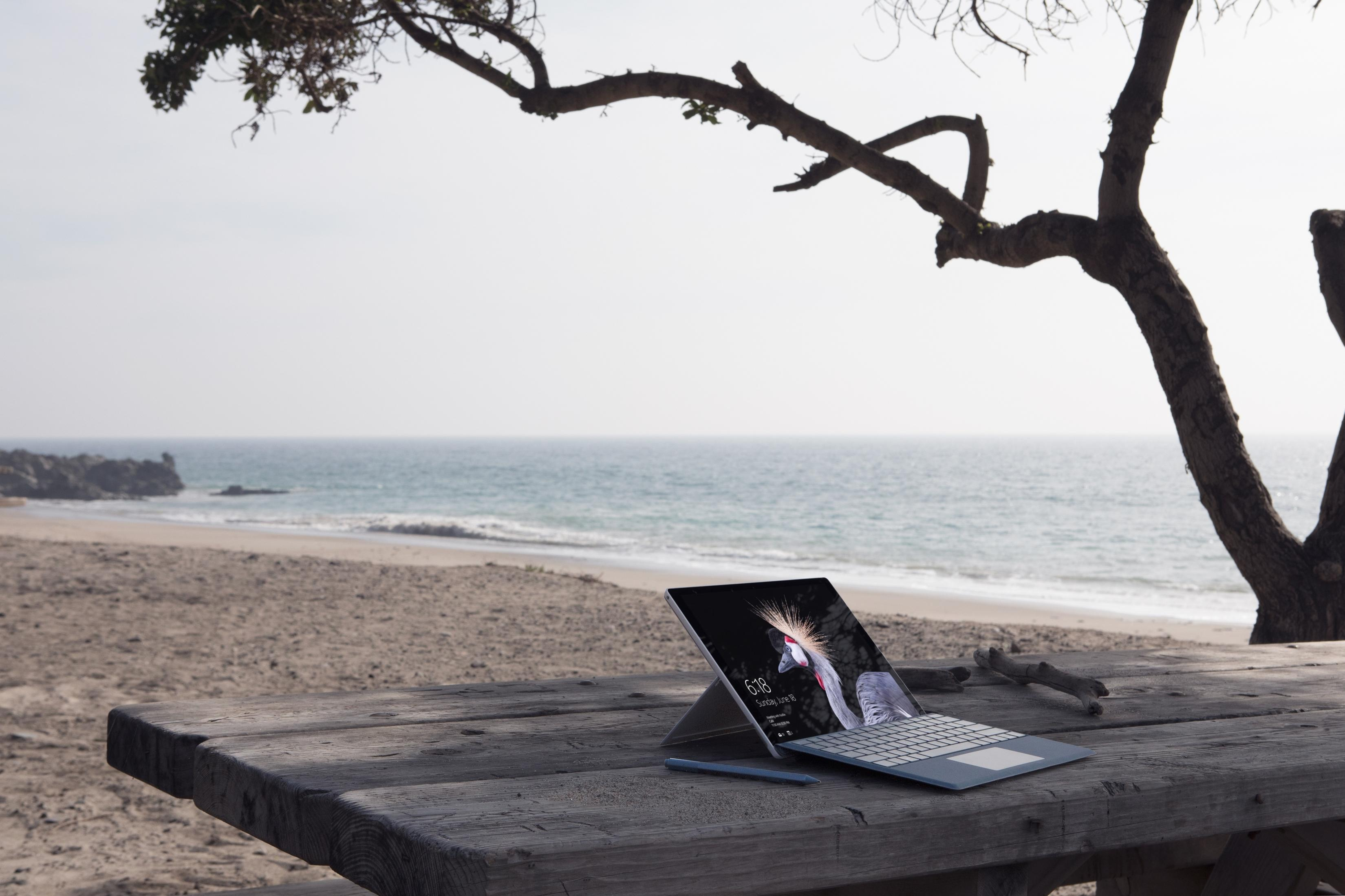 Ein Laptop steht auf einem Holztisch. Der Hintergrund ist ein Strand und das Meer mit einem Baum.