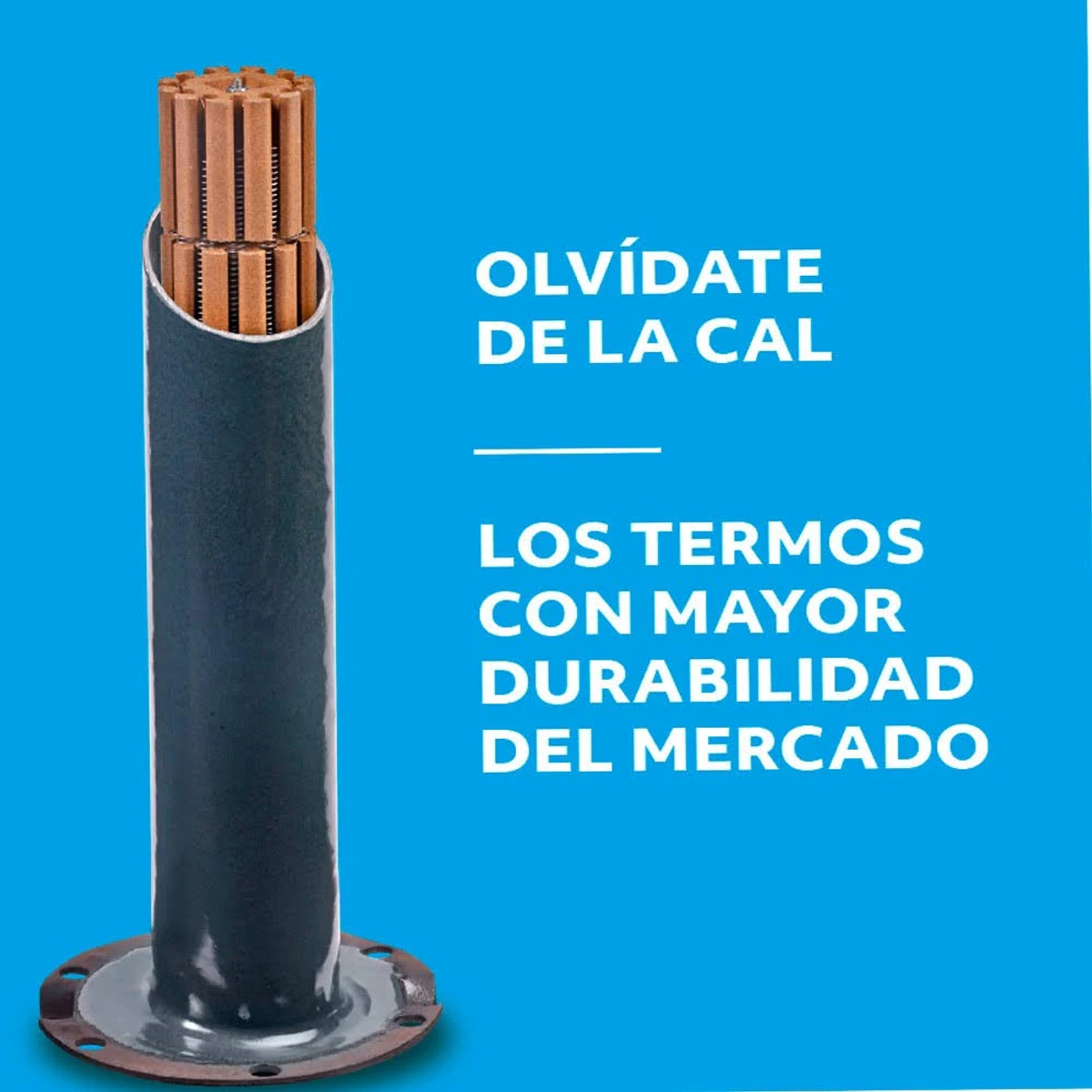 Objeto cilíndrico con texto. El texto dice: Olvídate de la cal, los términos más duraderos del mercado.