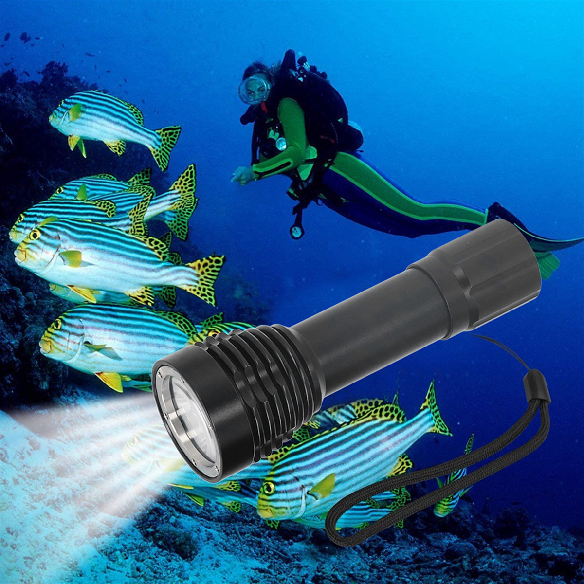 Taucher unter Wasser mit einer Taschenlampe, umgeben von gestreiften Fischen.