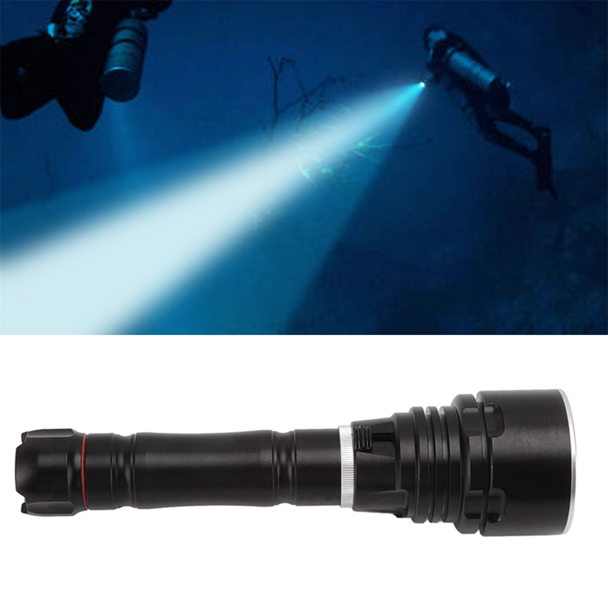 Zwei Taucher mit einer Taschenlampe in dunklem Wasser. Der Lichtstrahl der Taschenlampe ist sichtbar.