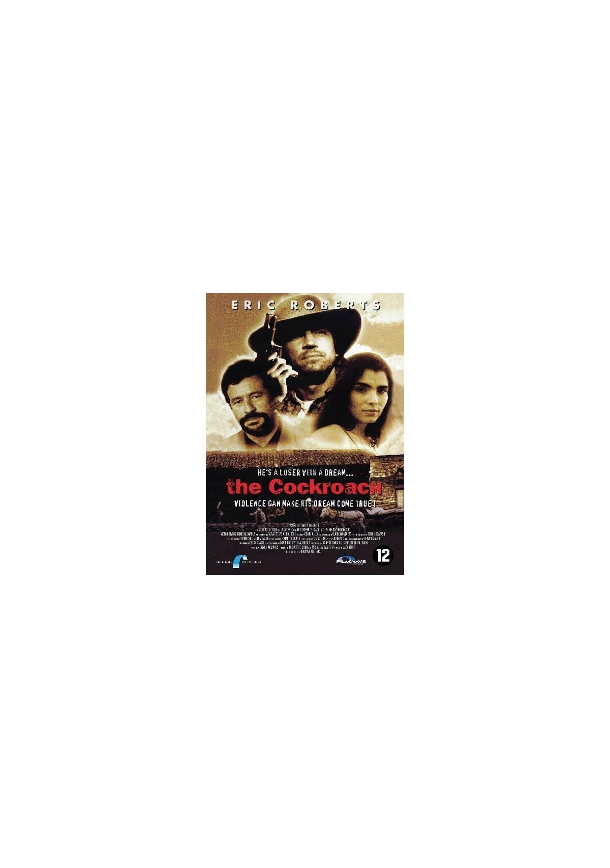 Affiche de film : Eric Roberts et d'autres. Titre : The Outlaw. Tons bruns, acteurs sérieux.