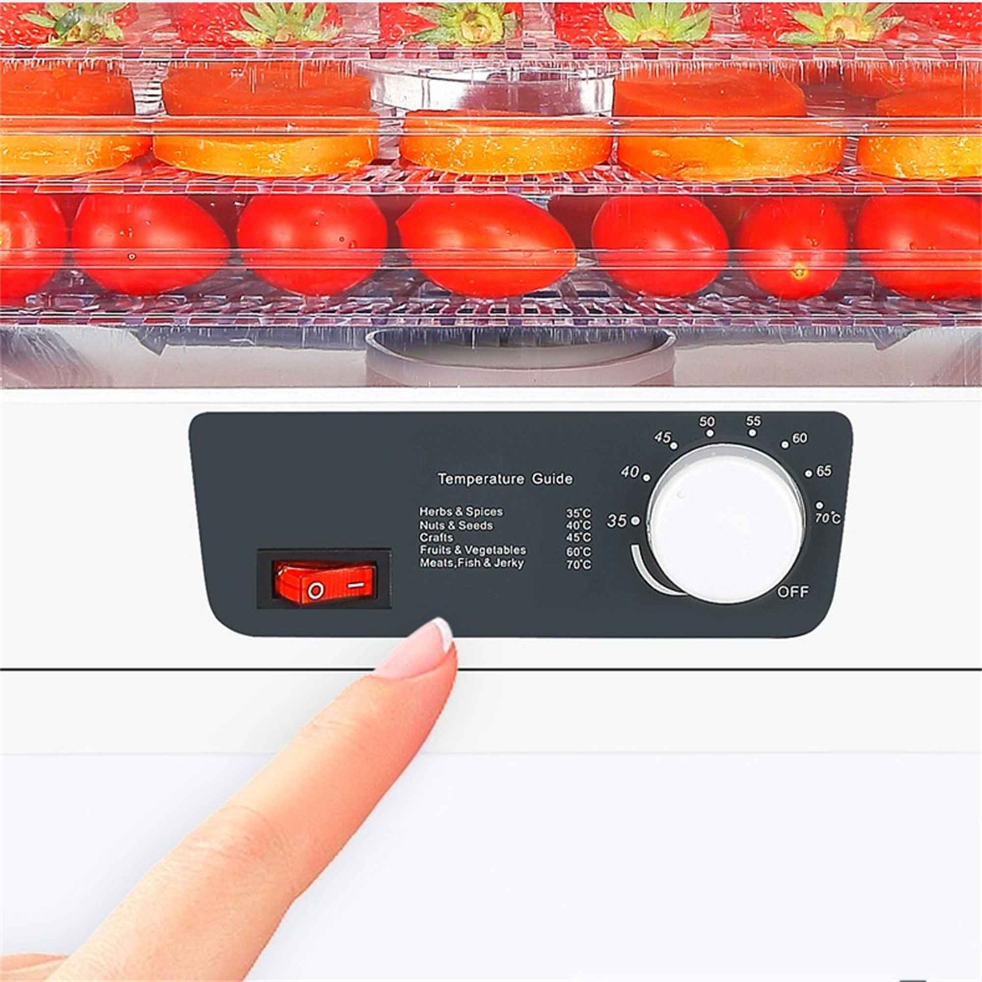 Bedienfeld eines Dörrautomaten mit Temperaturregler und roter Ein-/Aus-Taste.