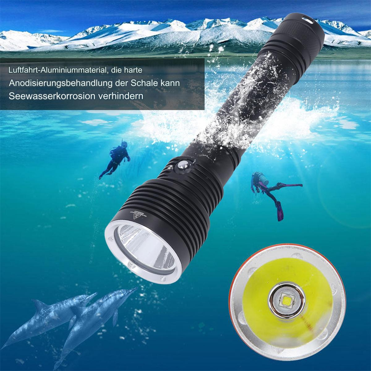 Schwarze Taschenlampe unter Wasser mit Tauchern und Delfinen, die helles Licht aussendet.
