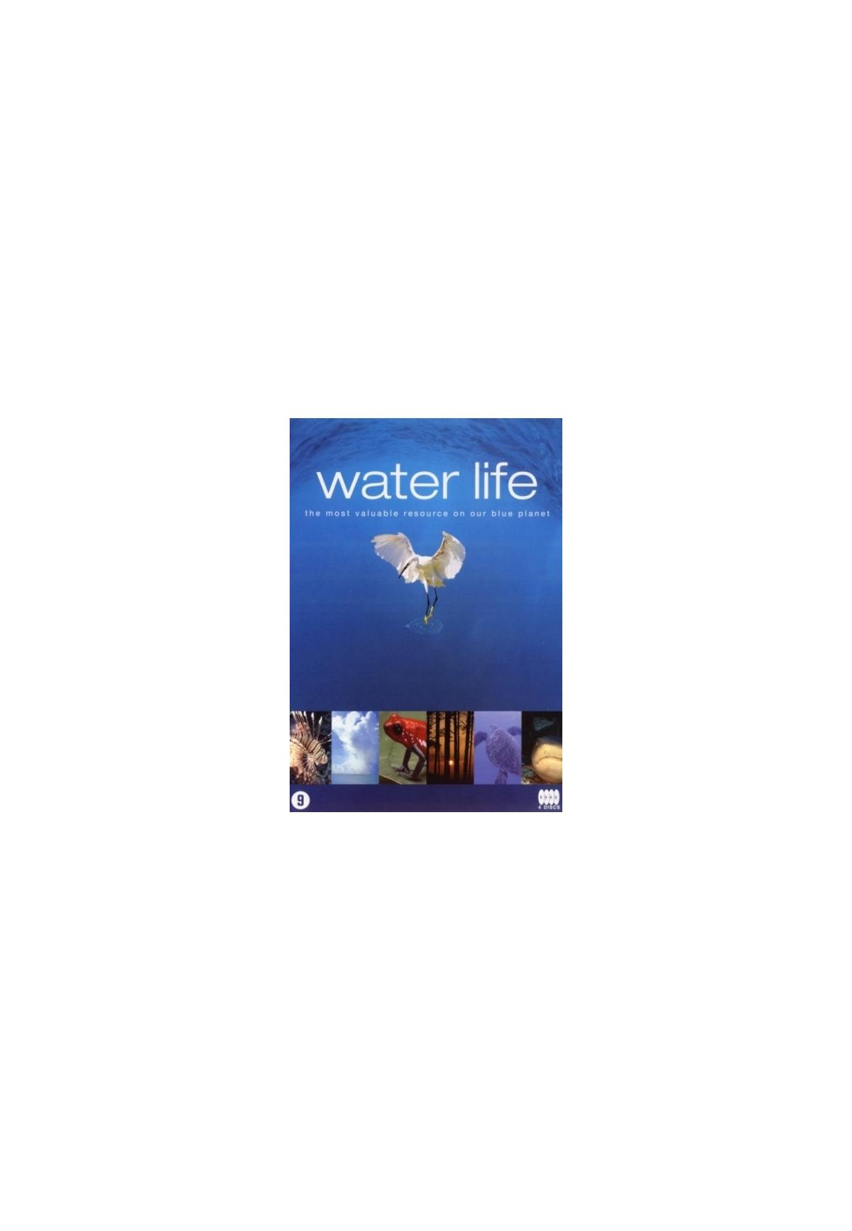Couverture du livre 'Water Life' avec une image d'oiseau et d'eau.