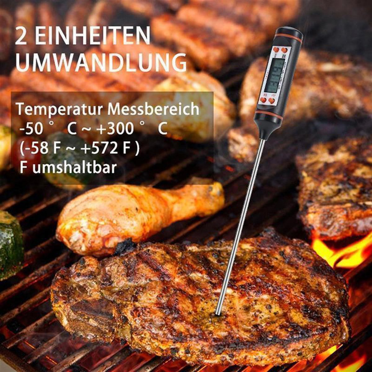Gebratenes Essen, Thermometer eingesetzt, Text zeigt Temperaturbereich und Einheiten.