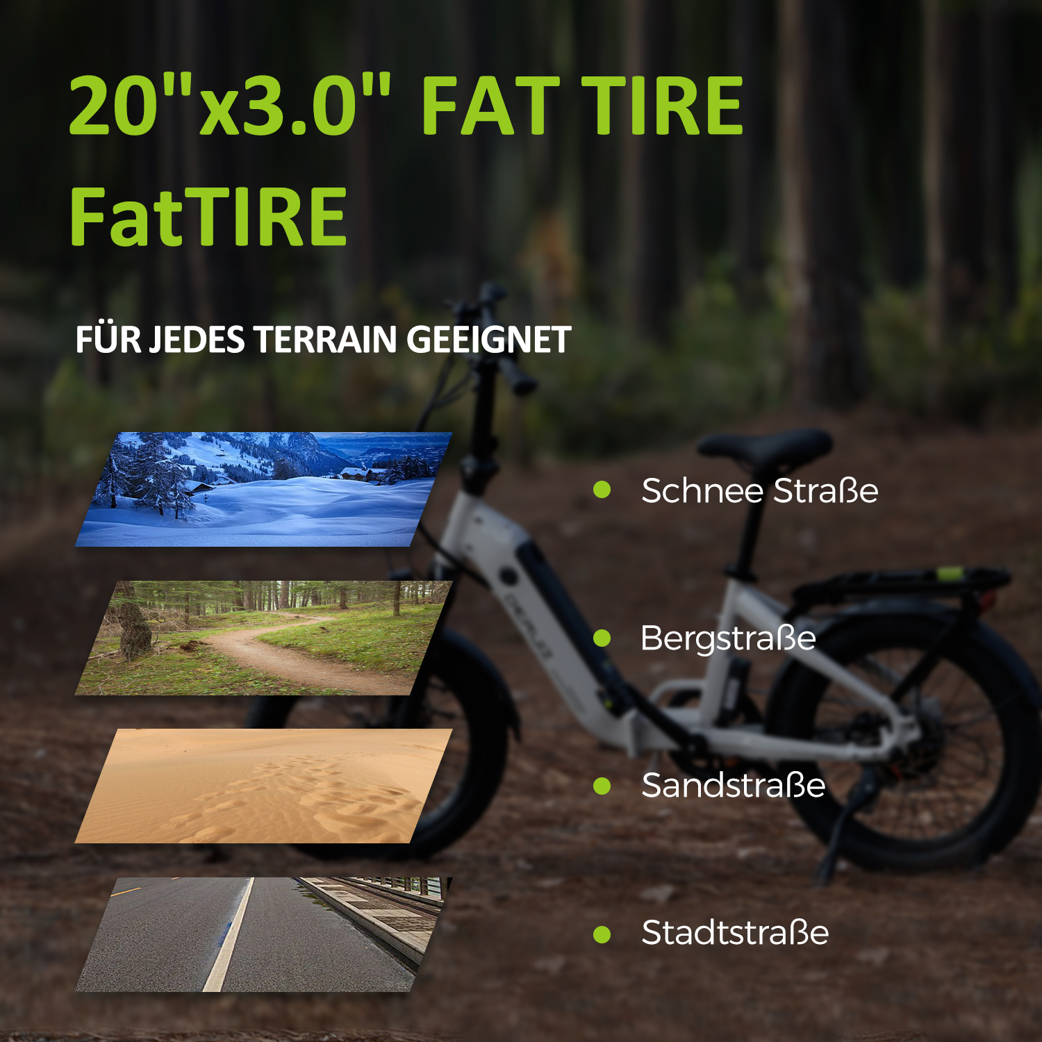Fatbike mit Terrain-Bildern. Schnee, Waldweg, Sand und Straße.