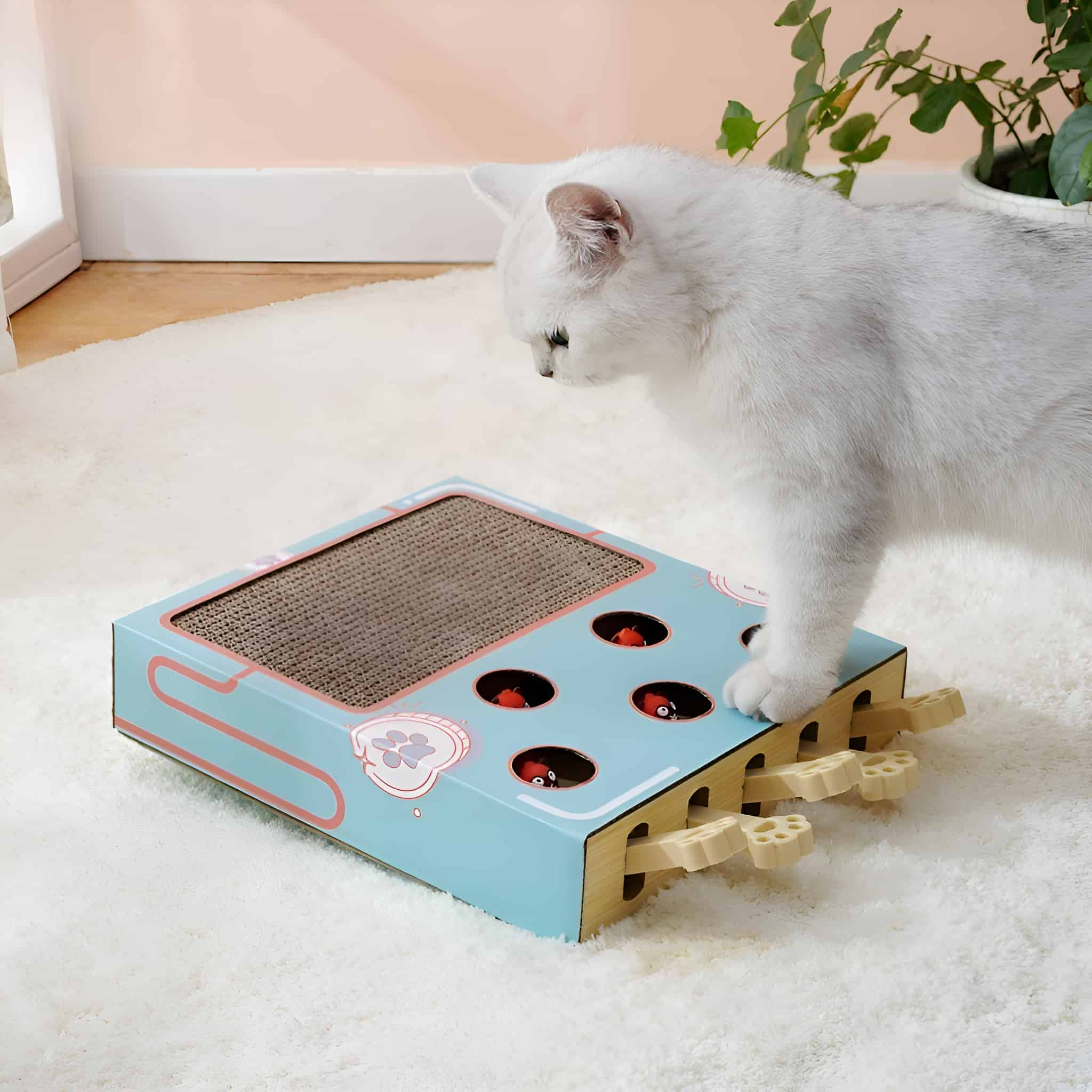 Weiße Katze schaut auf ein blaues Katzenspielzeug. Spielzeug hat Löcher und rote Kugeln.