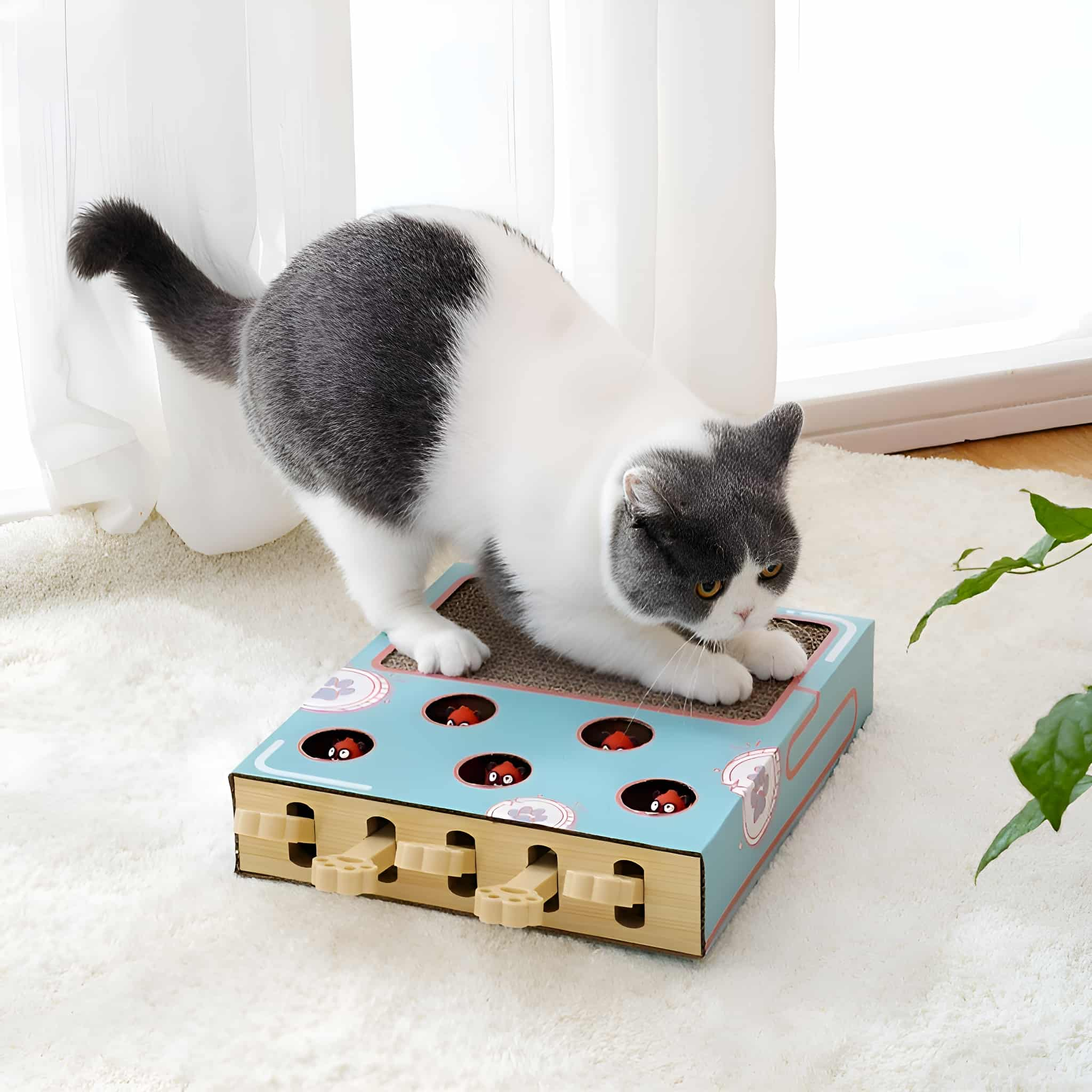 Eine Katze spielt mit einem Katzenspielzeug, blau mit Löchern und Holzhebeln, auf einem Teppich.