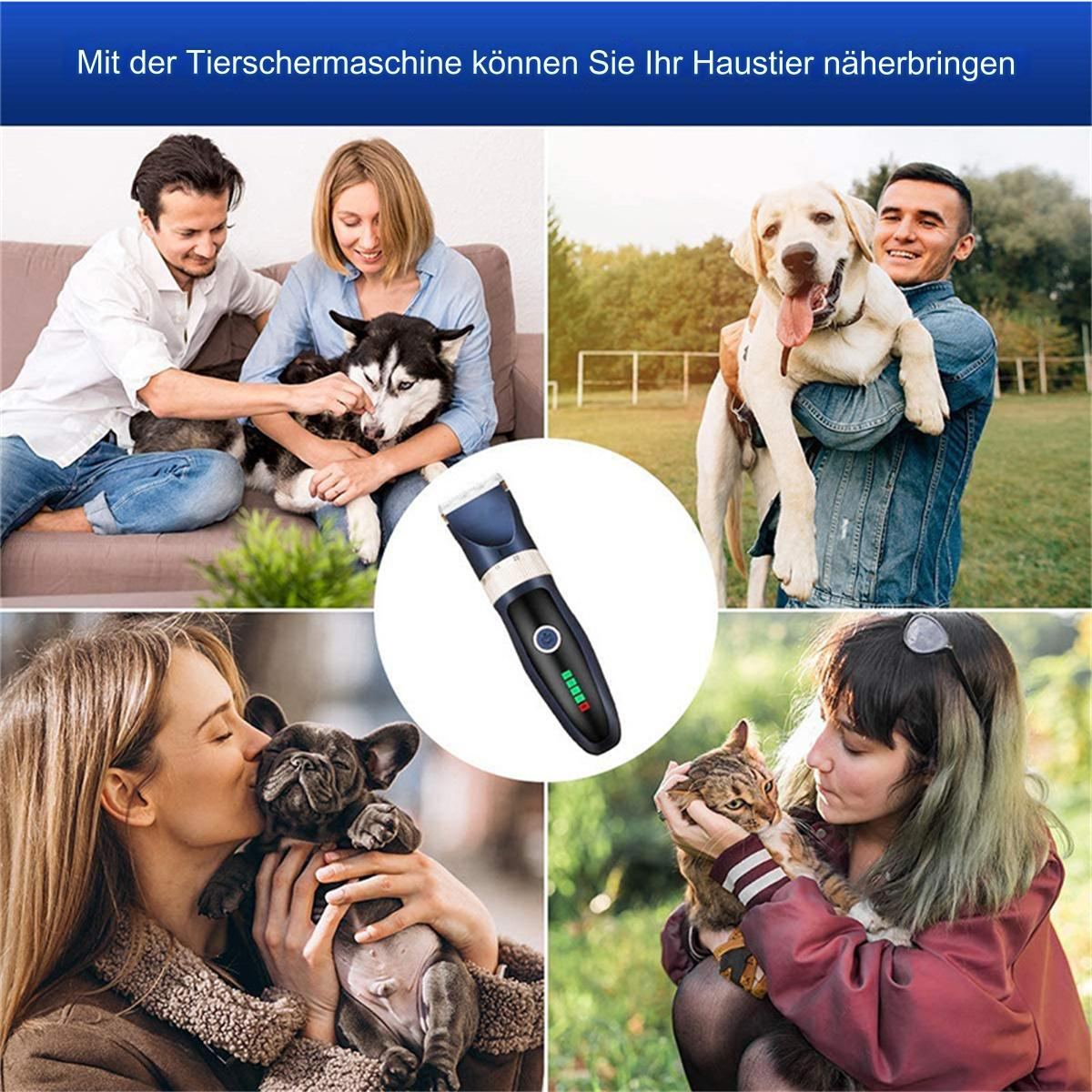 Collage von Menschen mit Haustieren. In der Mitte befindet sich ein Clipper. Hunde und Katzen sind zu sehen.