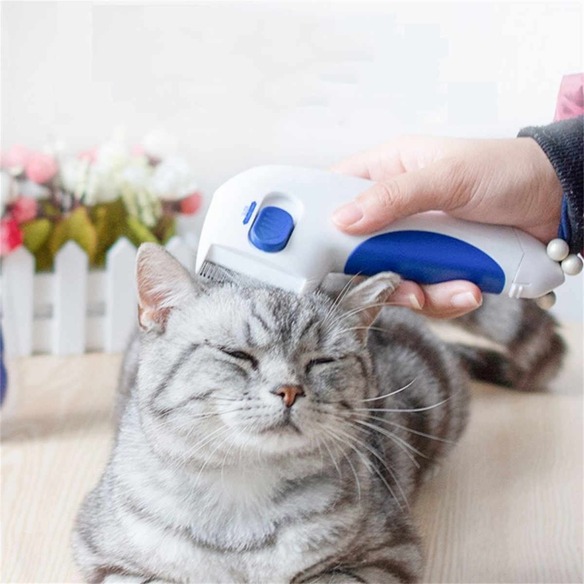 Eine Person kämmt eine graue Katze mit einem weiß-blauen Flohkamm. Die Katze ist entspannt und hat geschlossene Augen.