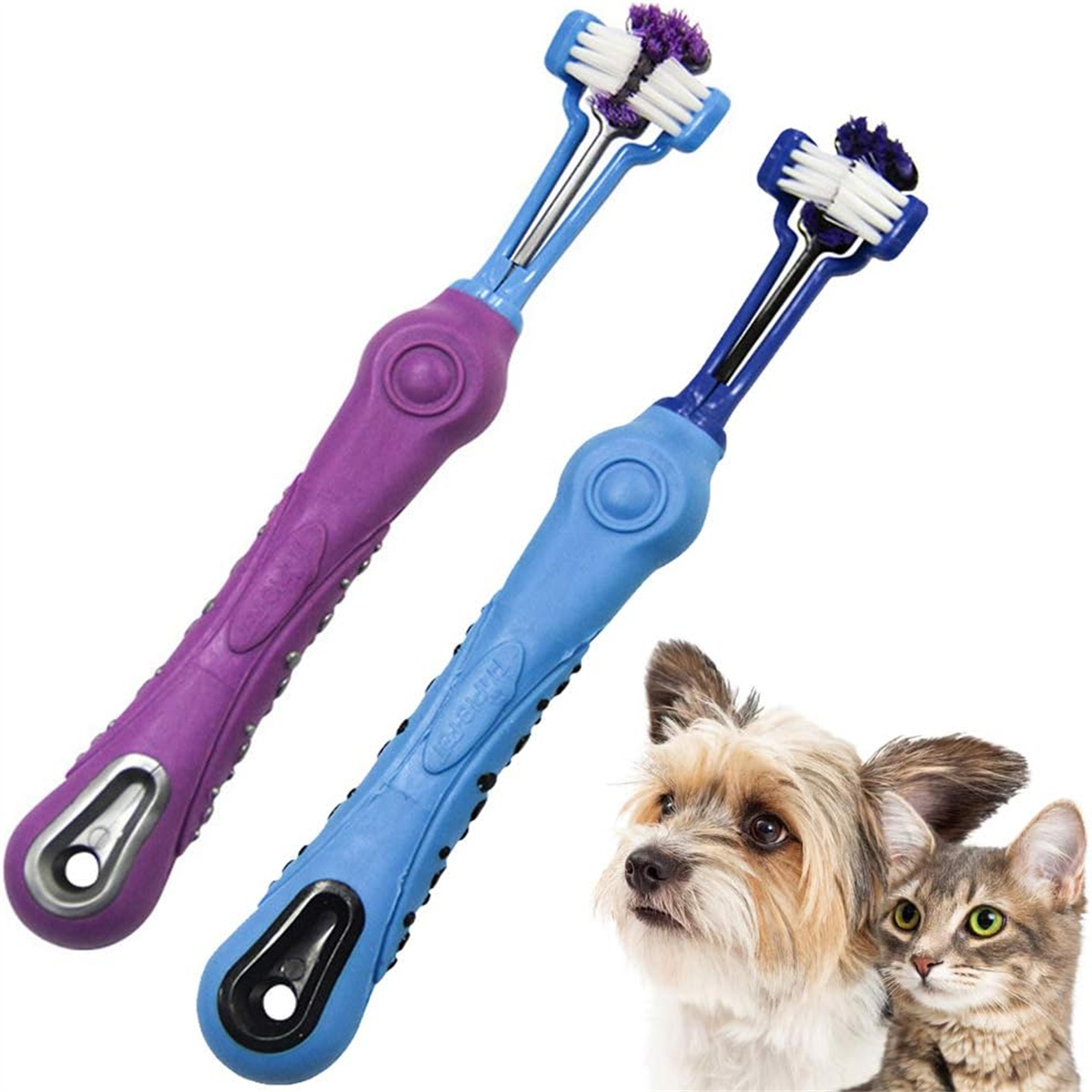 Zwei Hundezahnbürsten in Lila und Blau. Ein Hund und eine Katze schauen in die Kamera.