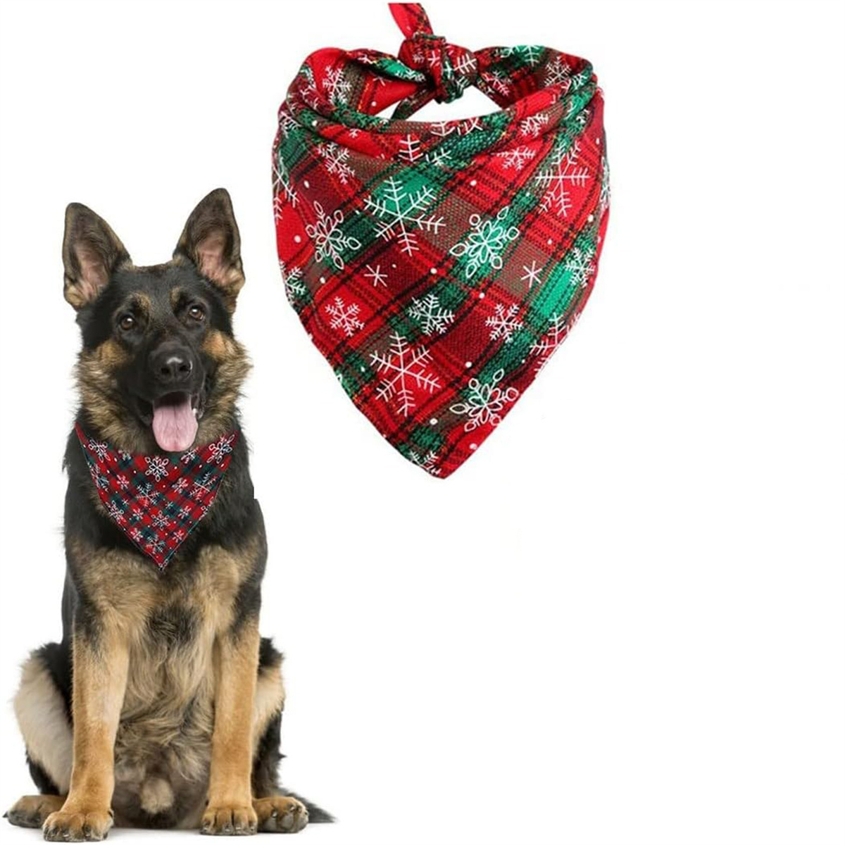 Hund mit Halstuch. Das Halstuch ist rot und grün kariert mit Schneeflocken.