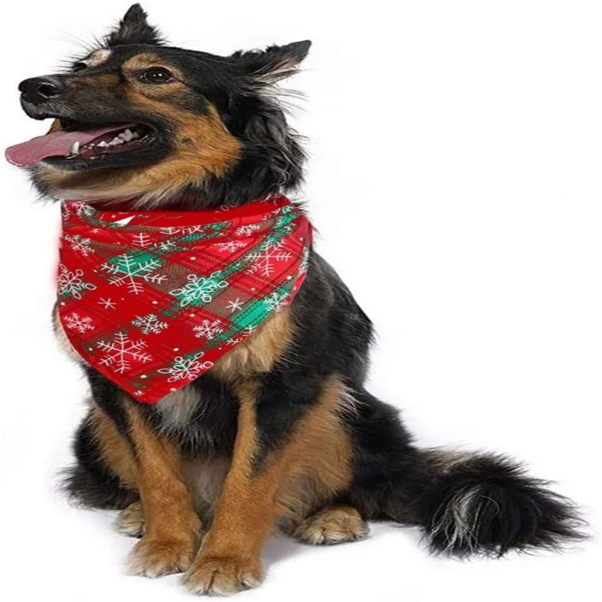 Hund mit rotem Weihnachts-Bandana mit Schneeflocken, glücklich, Zunge heraus.