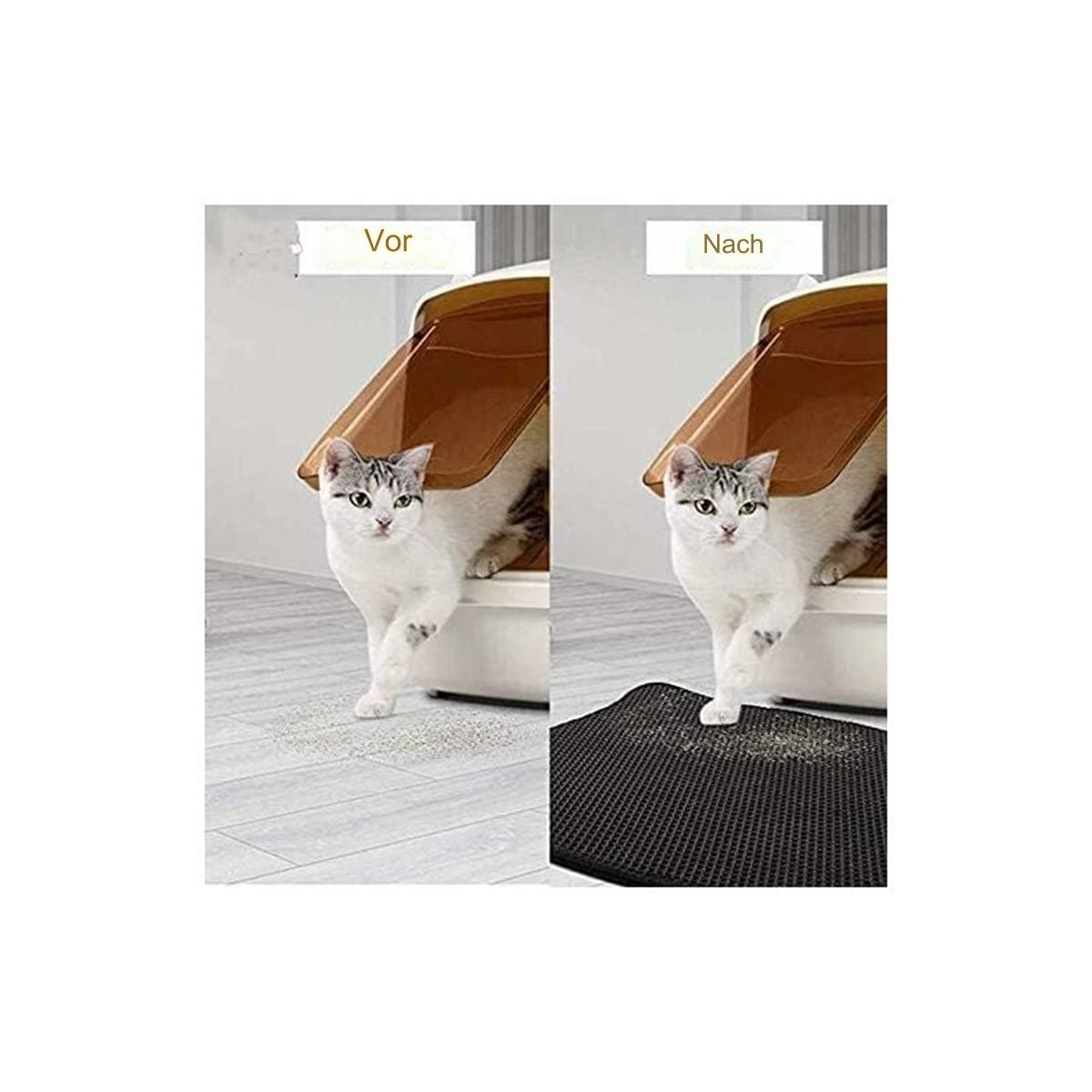 Eine Katze tritt aus einer Katzentoilette auf einen Boden und dann auf eine Matte.