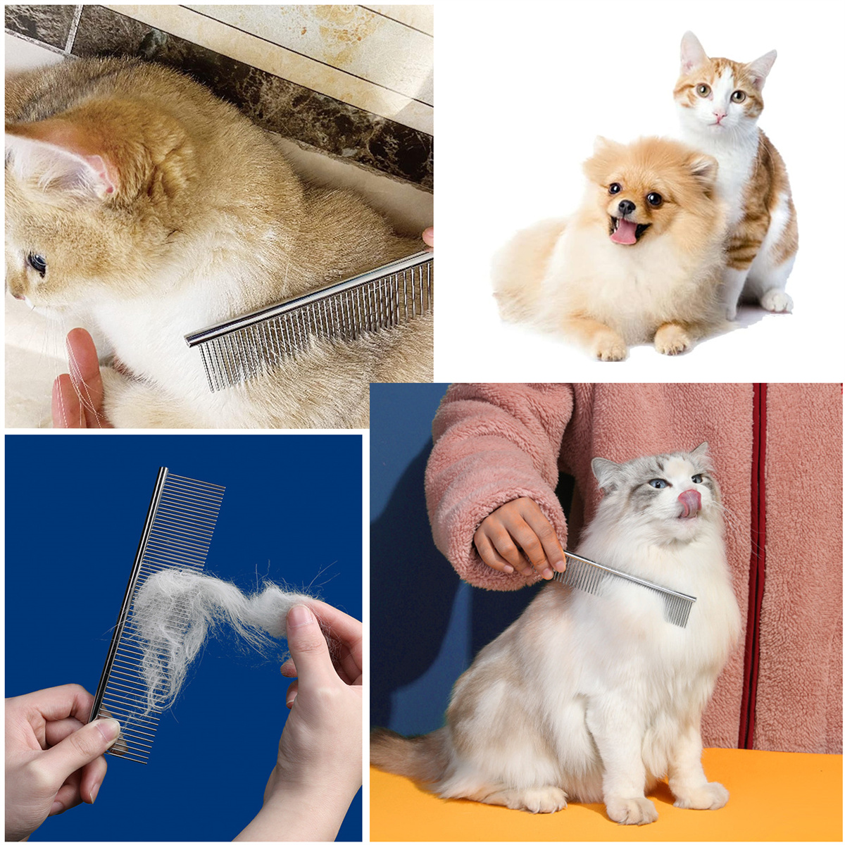 Vier Bilder: Katze wird gekämmt, zwei Katzen, Hund und Katze, und ein Kamm mit Fell.